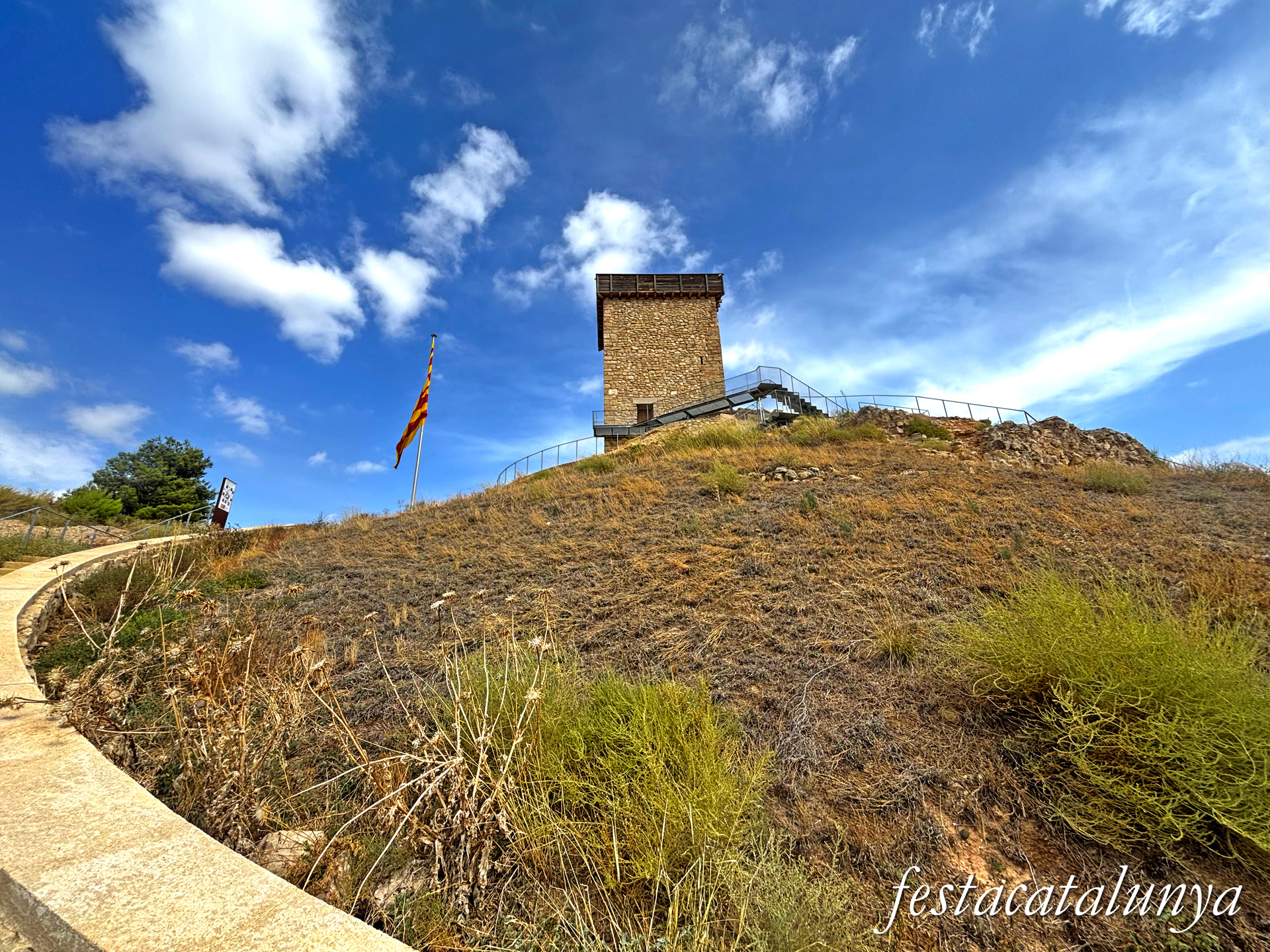 Castell d'Ascó ***