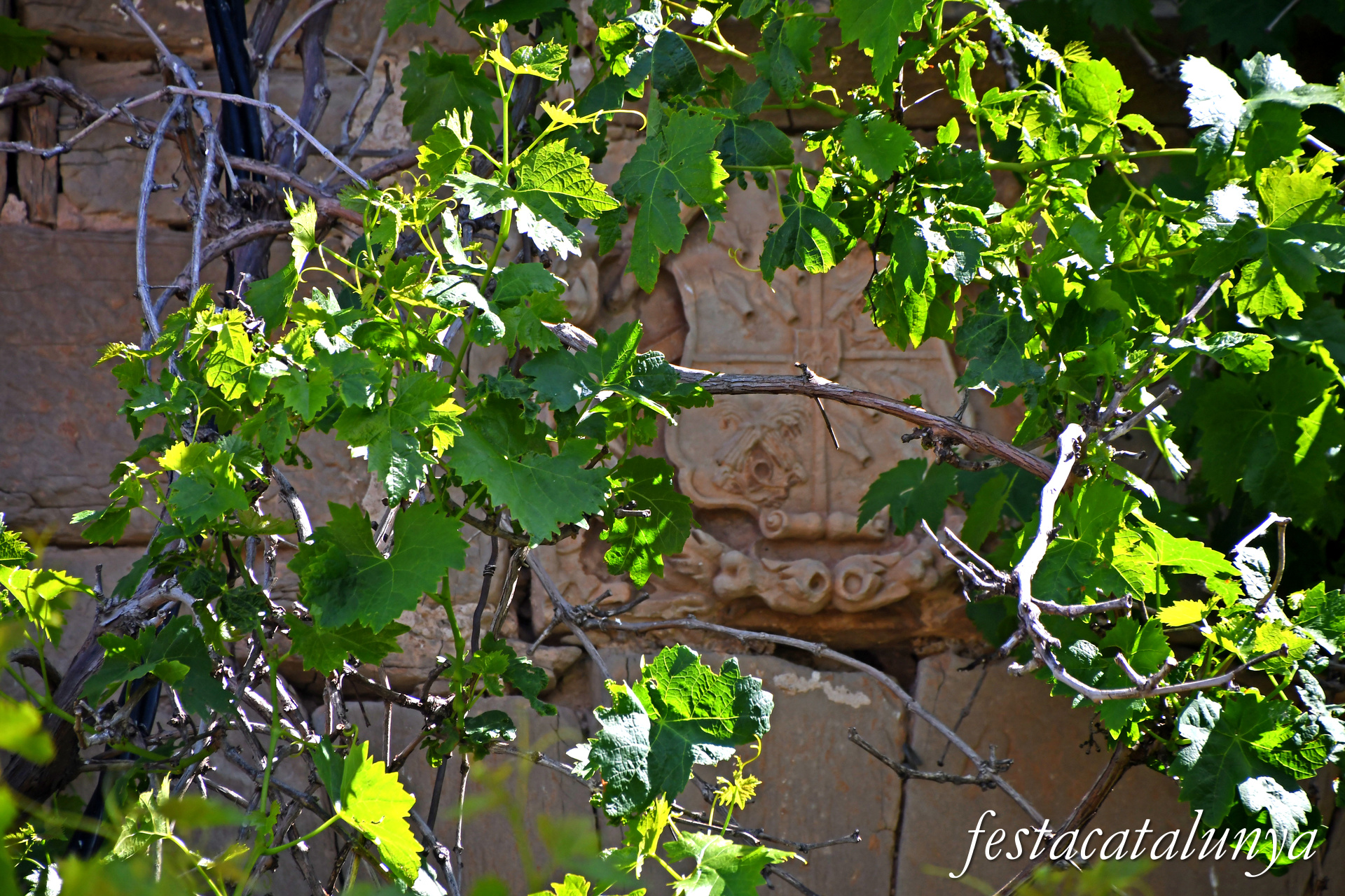Tàrrega - Castell de Claravalls 