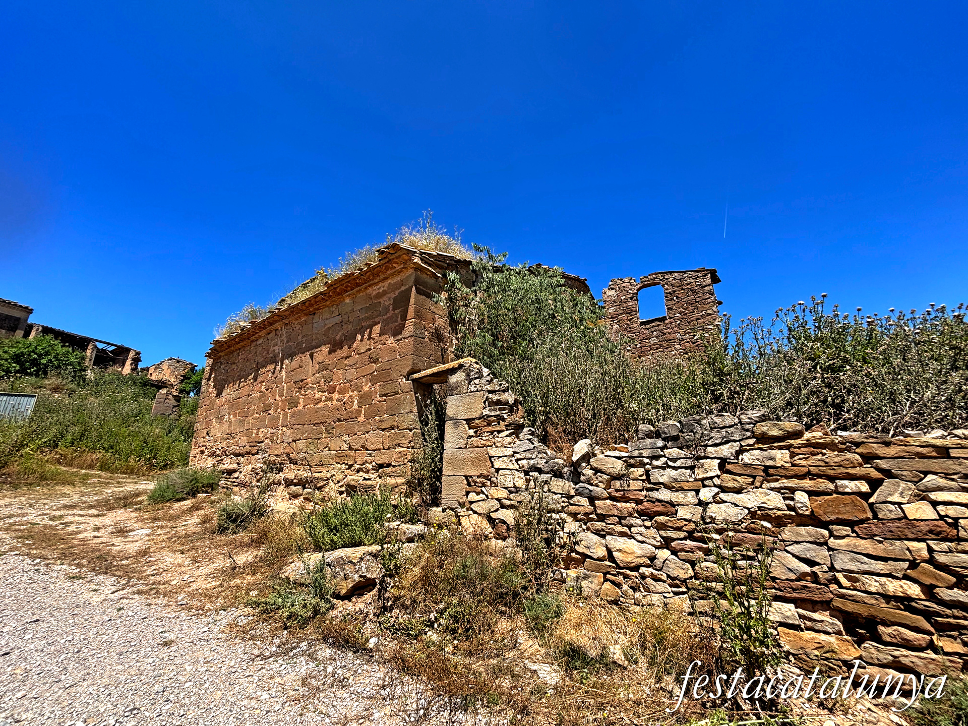 Conill de La Figuerosa