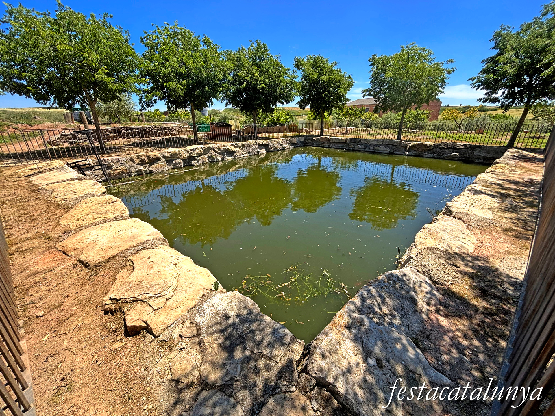 Tàrrega - Nucli històric de Riudovelles - La Bassa 