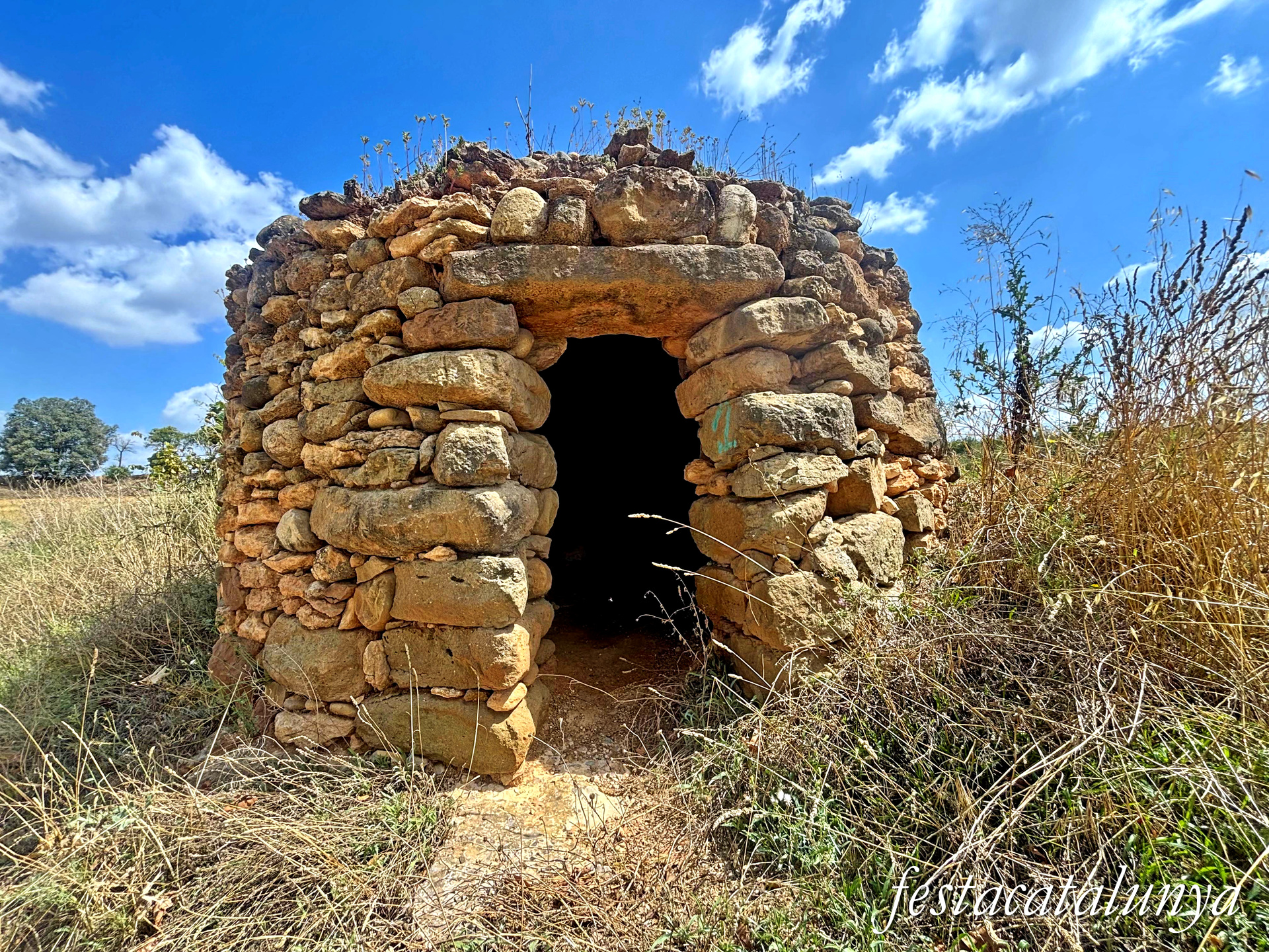 Sant Fruitós de Bages - Camí de Sant Benet 