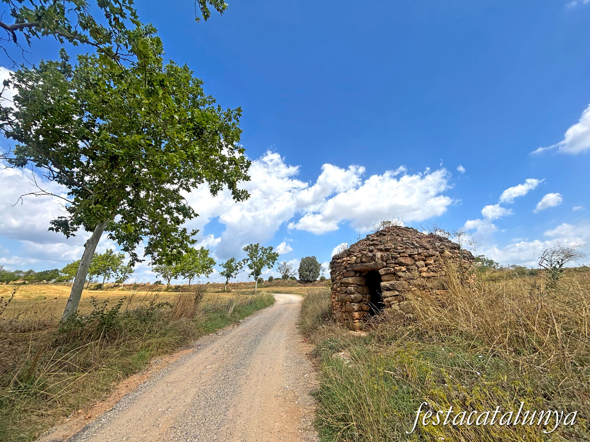 Sant Fruitós de Bages - Camí de Sant Benet 