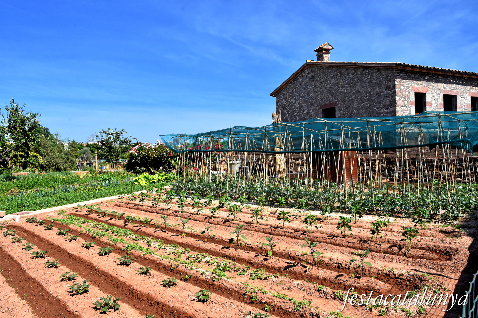 Sant Fruitós de Bages - Els Horts