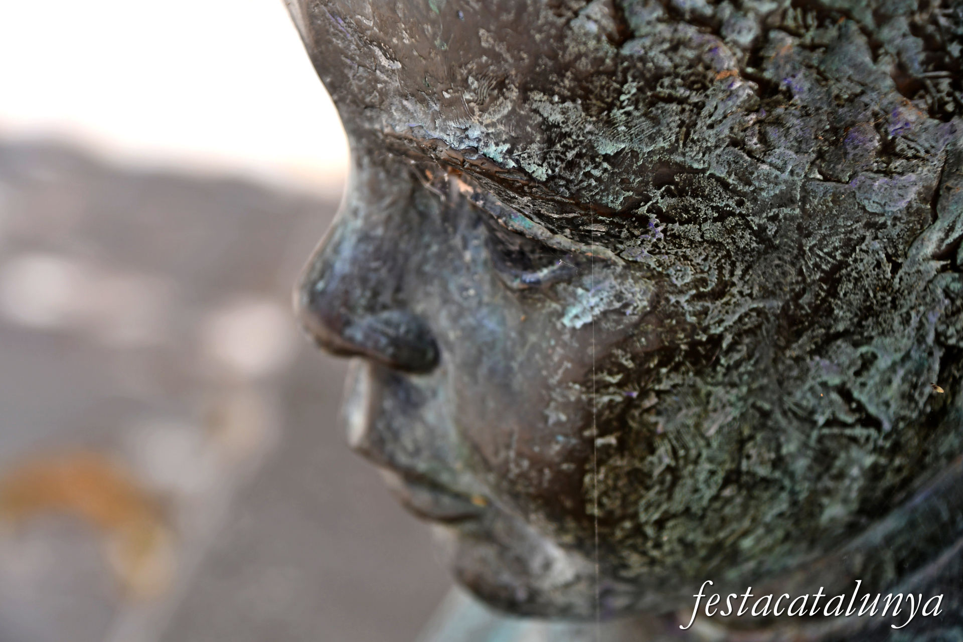 El banyista de Sant Fruitós de Bages