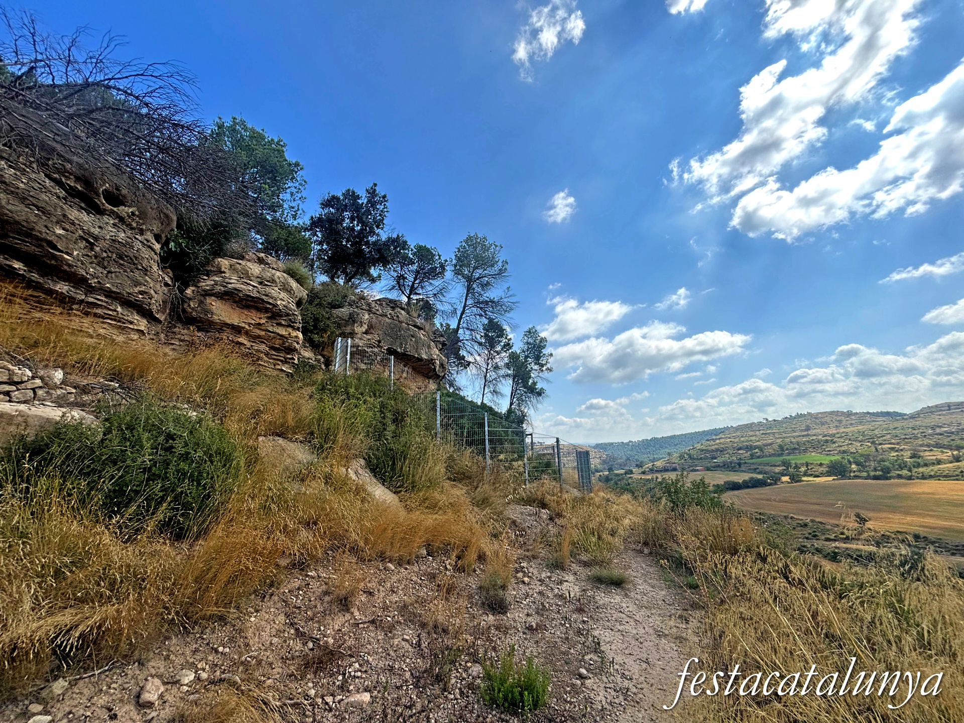 Sant Fruitós de Bages - Pintures rupestres de les Brucardes 