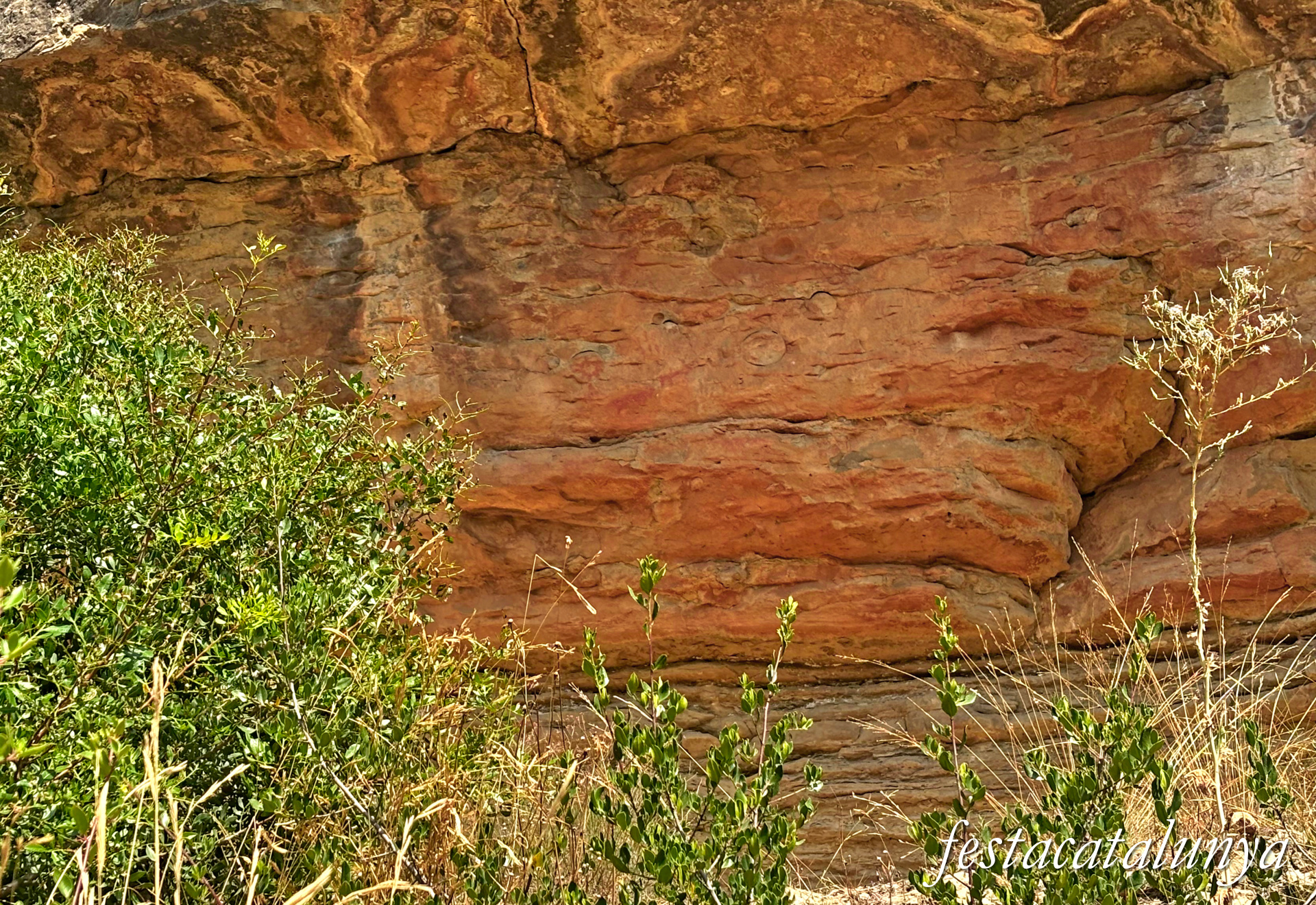 Sant Fruitós de Bages - Pintures rupestres de les Brucardes 