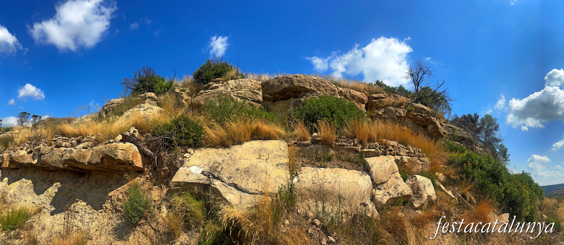 Sant Fruitós de Bages - Pintures rupestres de les Brucardes