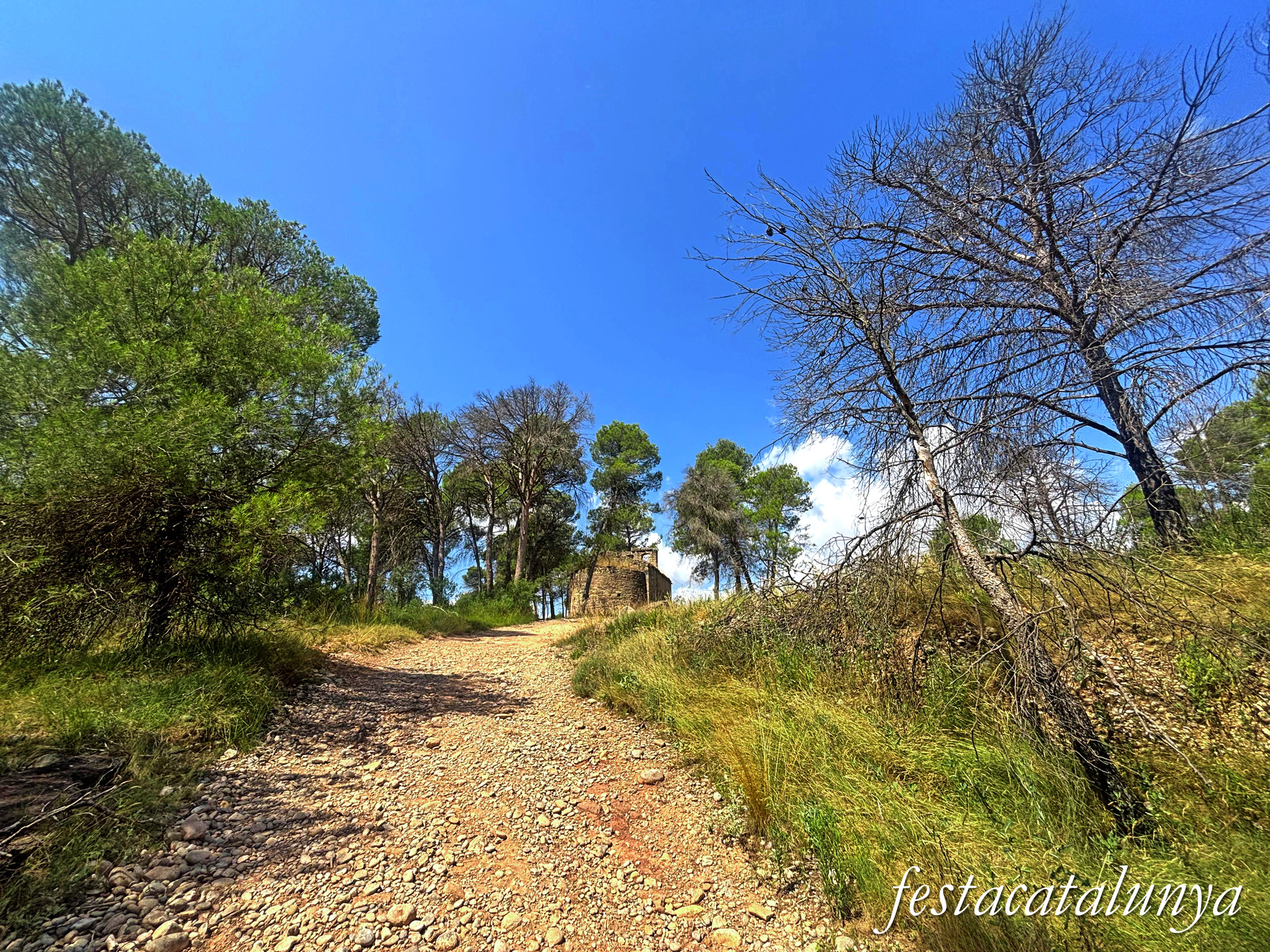 Sant Fruitós de Bages - Sant Valentí de les Brucardes 
