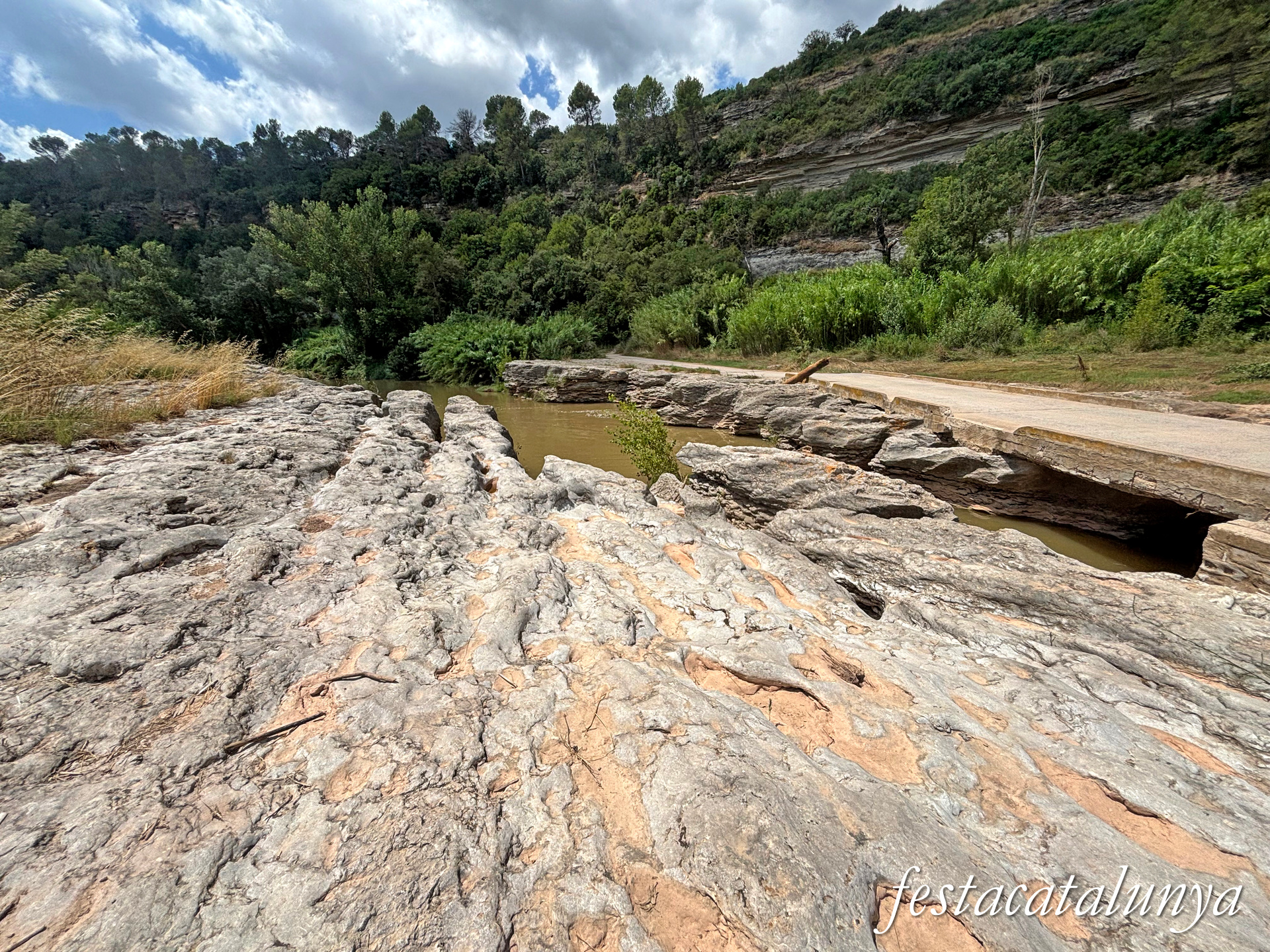 Sant Fruitós de Bages - Vora el riu Llobregat - Passera de les Tines 