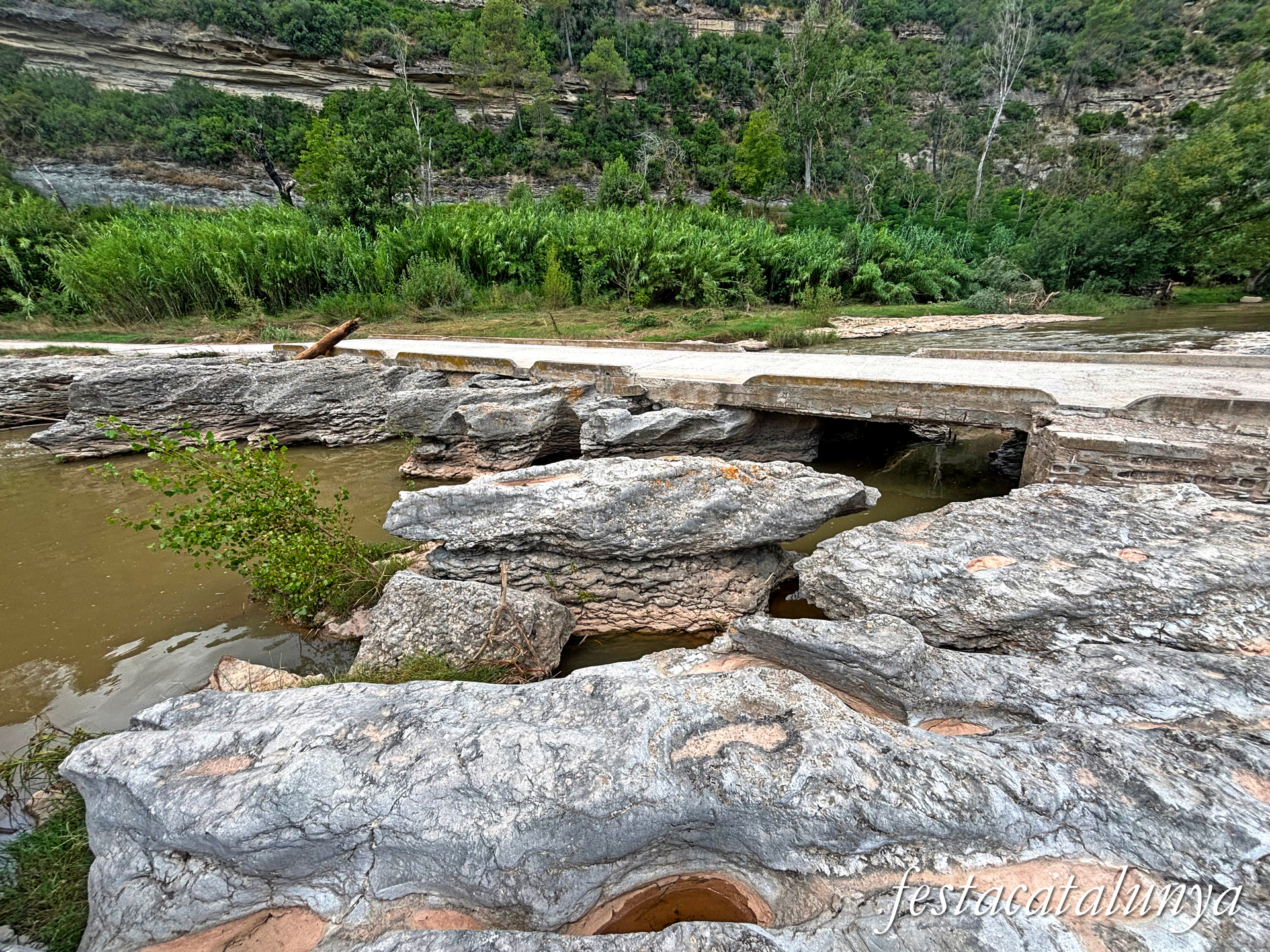 Sant Fruitós de Bages - Vora el riu Llobregat - Passera de les Tines 