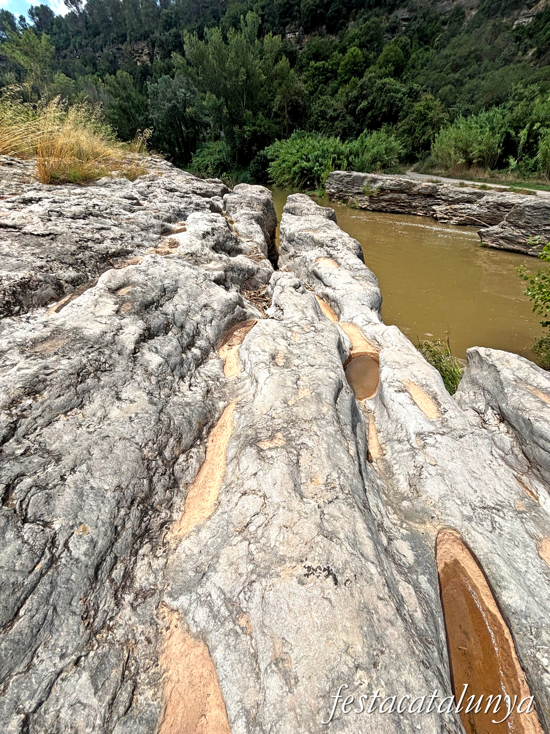 Sant Fruitós de Bages - Vora el riu Llobregat - Passera de les Tines