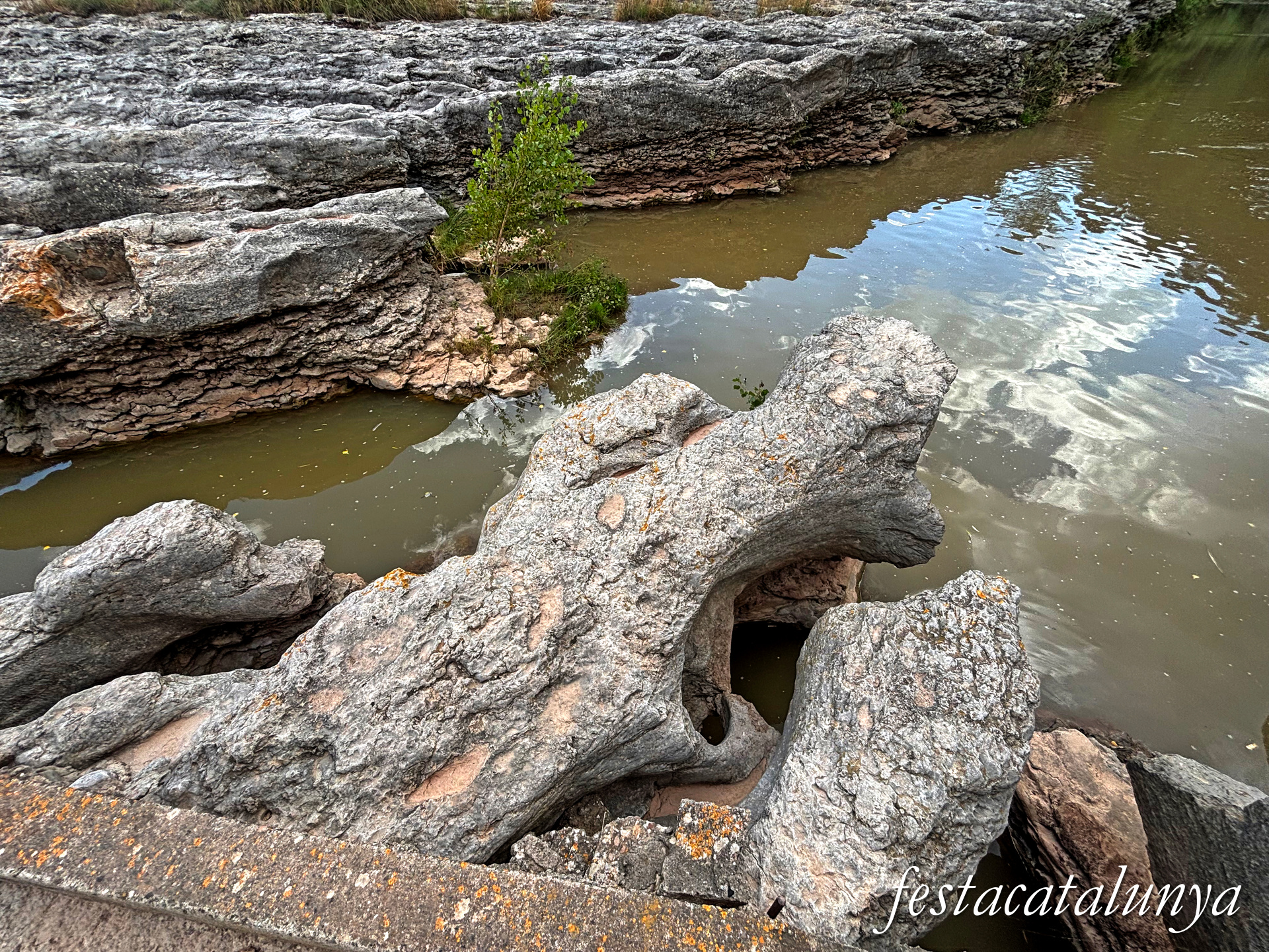 Sant Fruitós de Bages - Vora el riu Llobregat - Passera de les Tines 