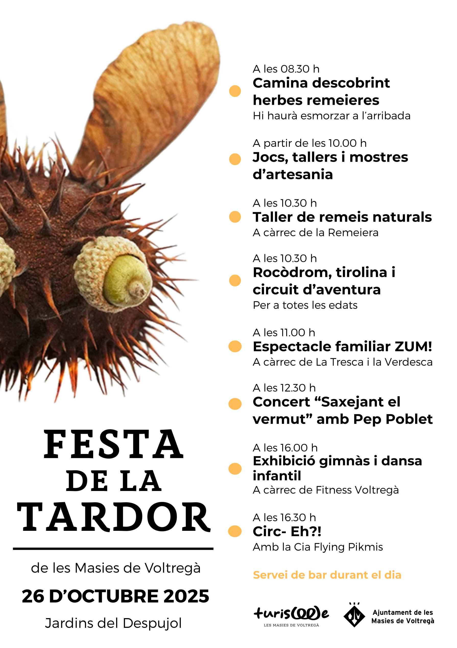 Les Masies de Voltregà - Festes de la Tardor 