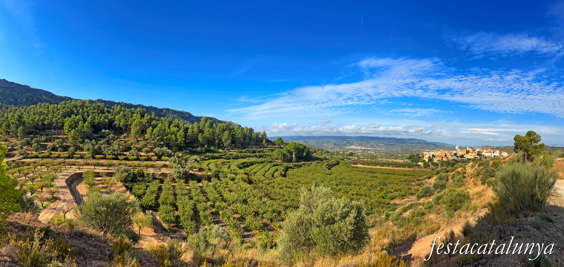 Mirador del Pi a La Torre de l'Espanyol ***