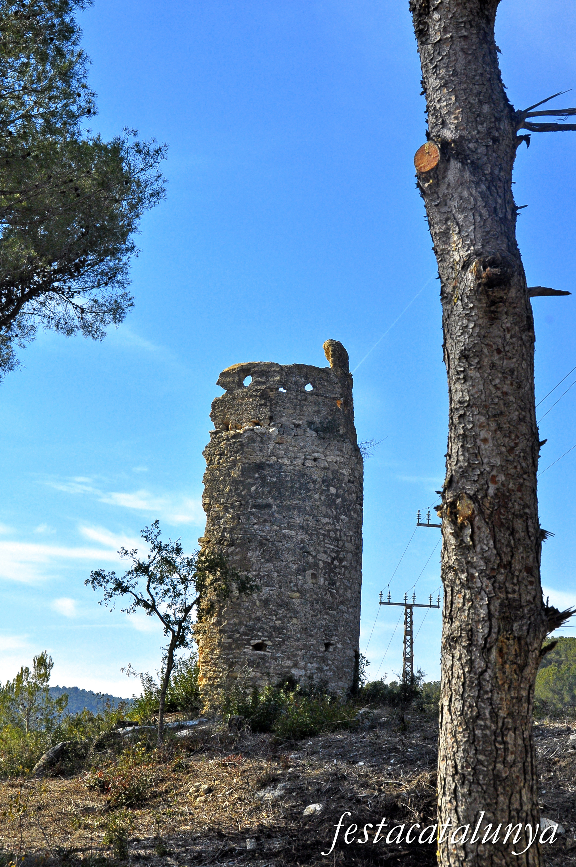 La Riera de Gaià - La Torre de l'Abella a Ardenya