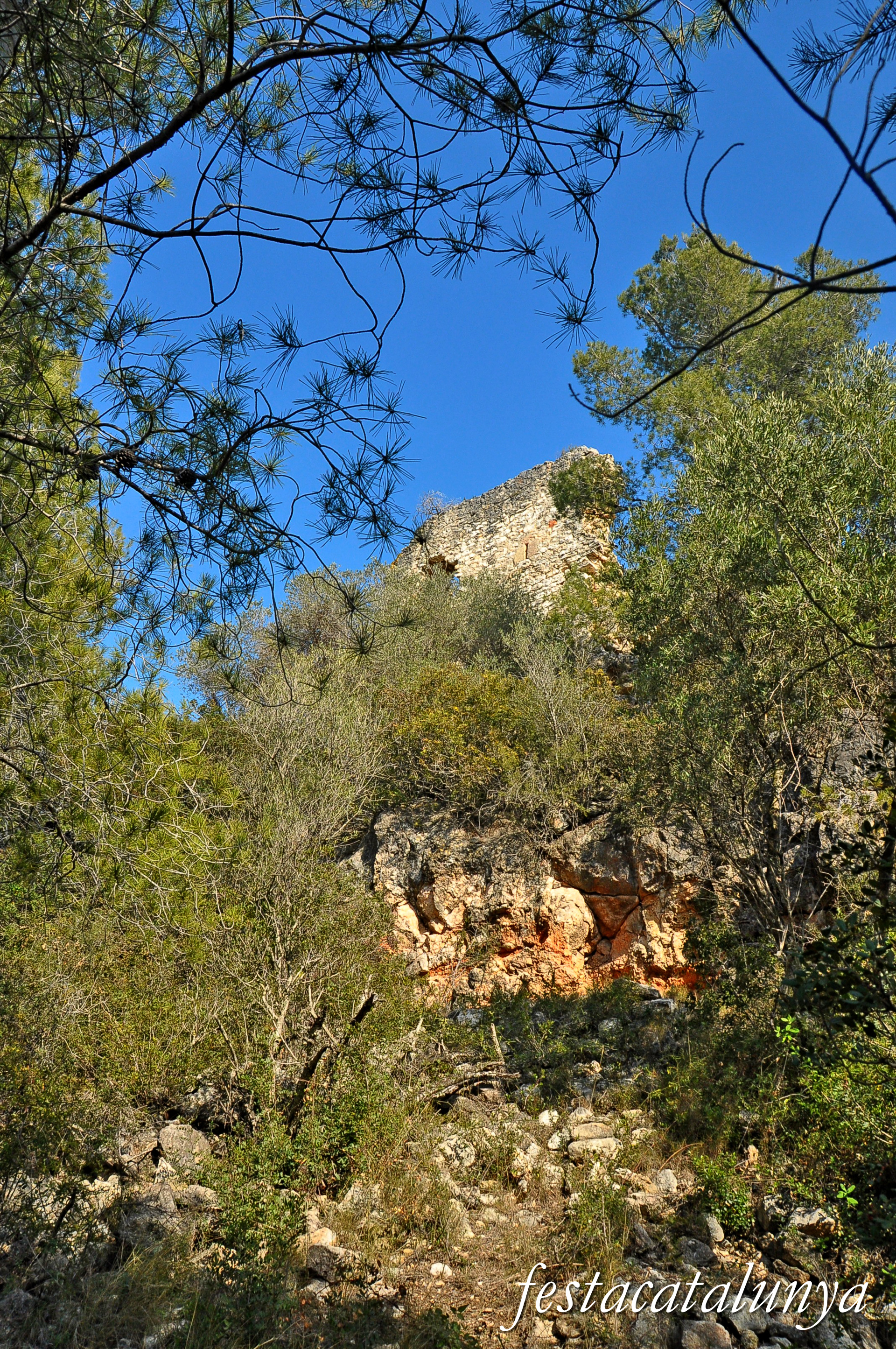La Riera de Gaià - Castell de Montoliu