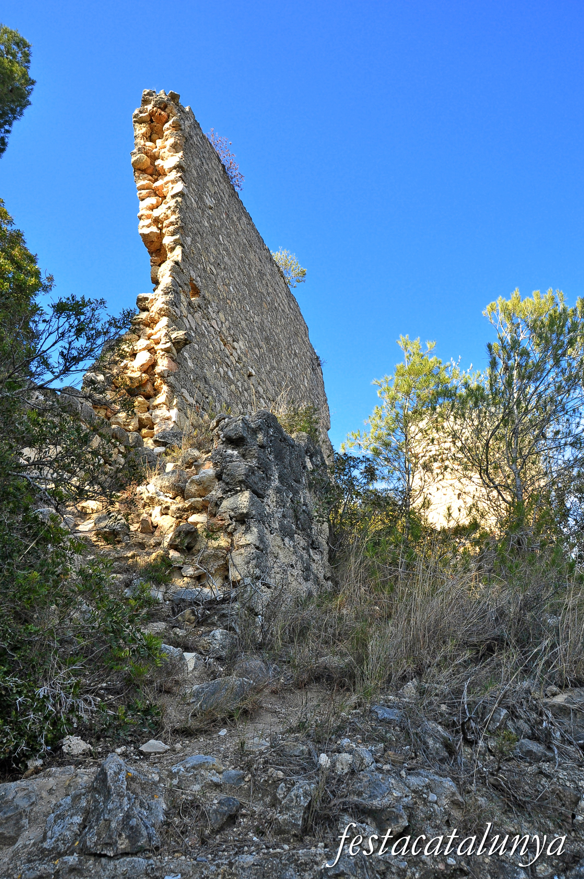 La Riera de Gaià - Castell de Montoliu 
