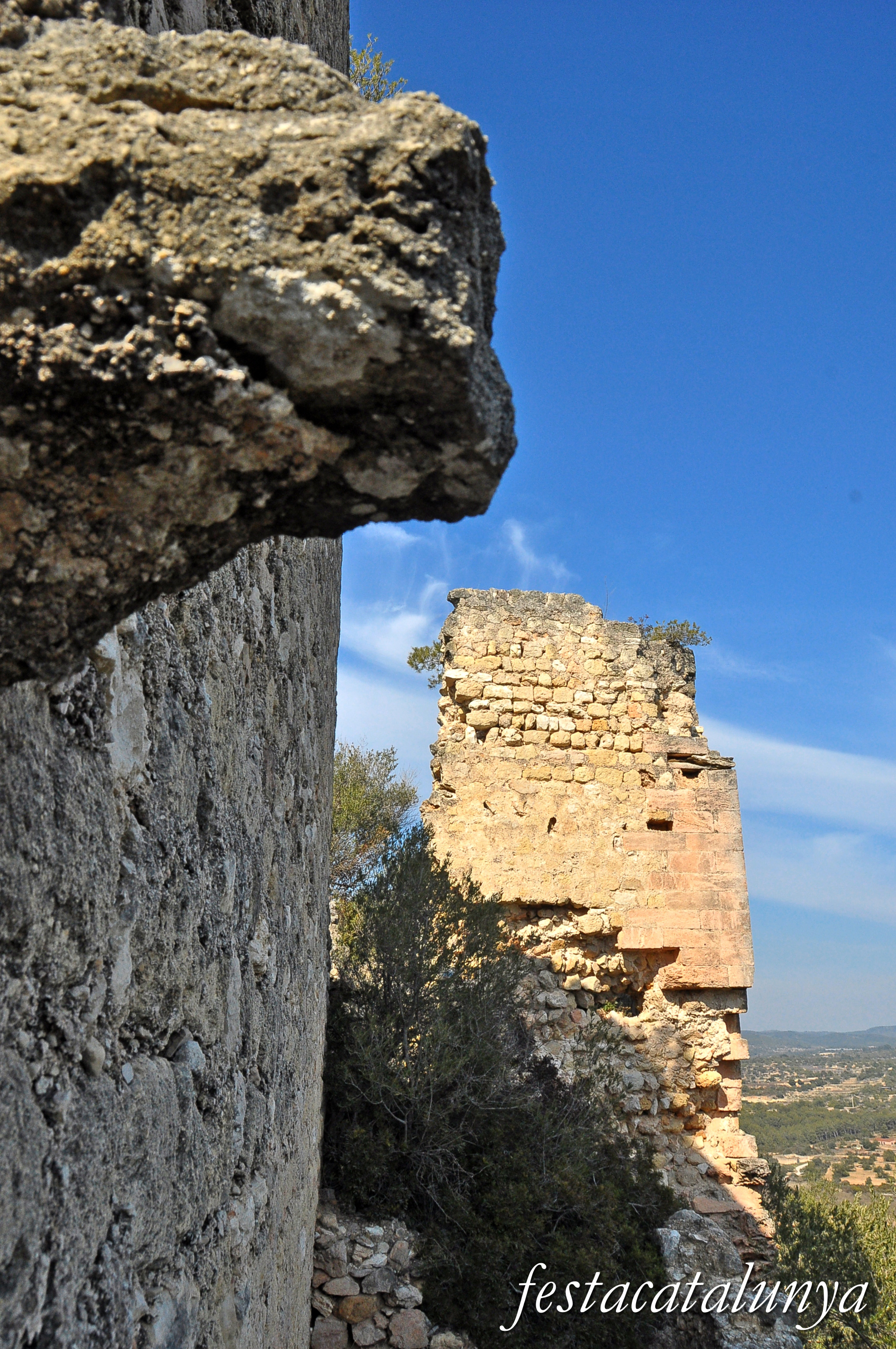 La Riera de Gaià - Castell de Montoliu 