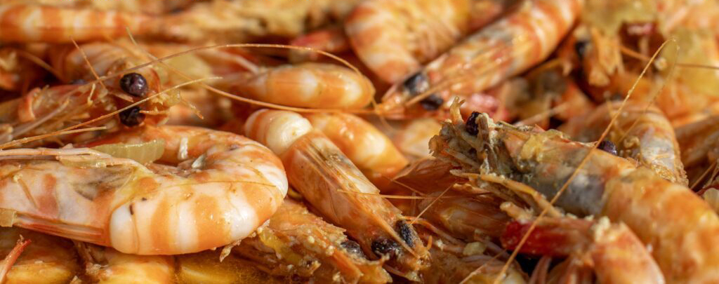 Jornades Gastronòmiques del Llagostí a La Ràpita