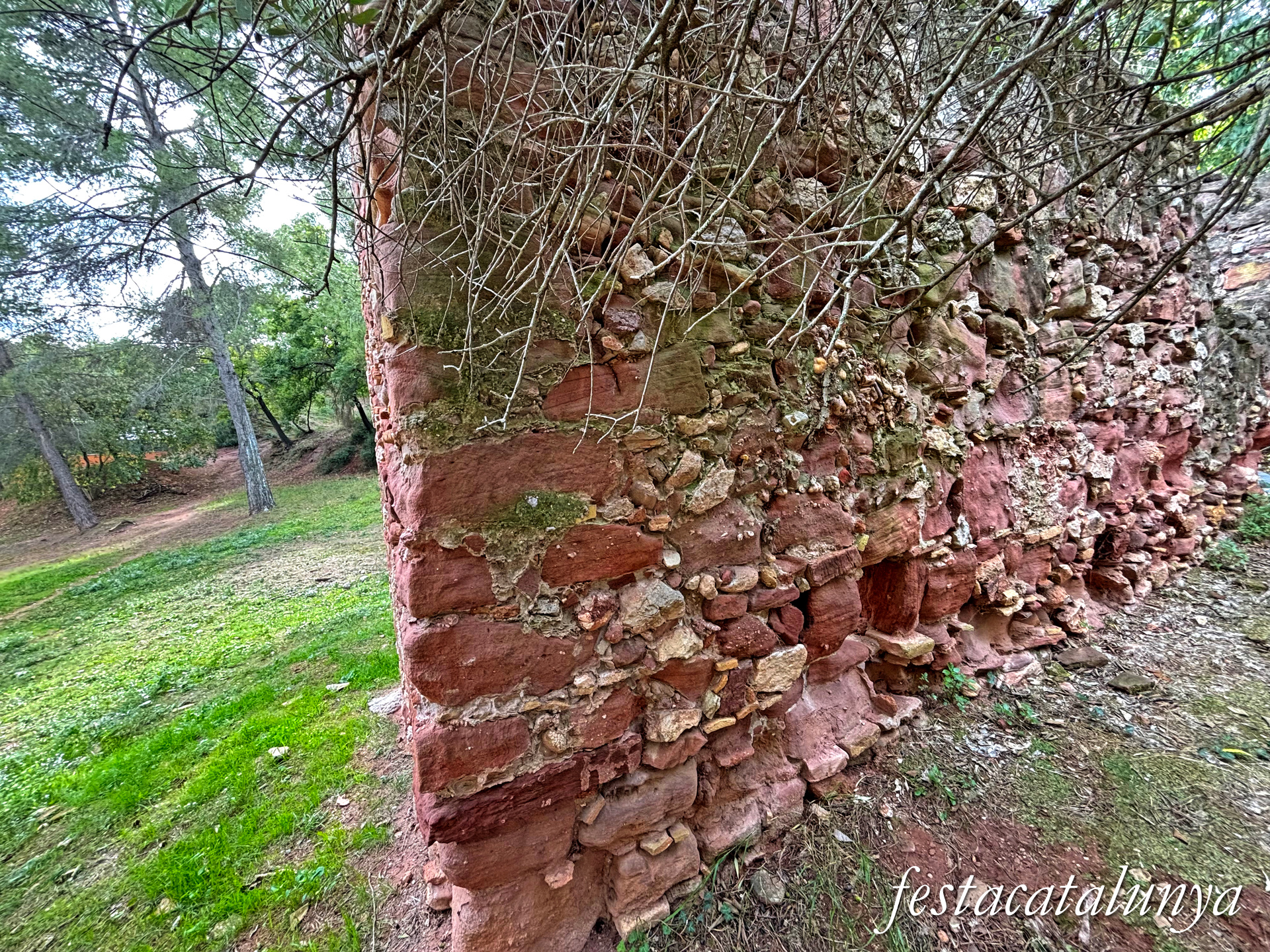 Pallejà - Roure de la Blanqueria 