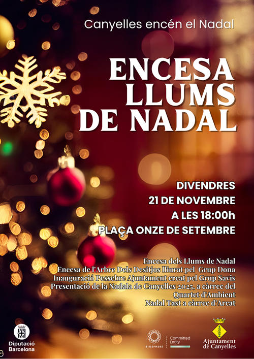 Canyelles - Encesa de Llums de Nadal 
