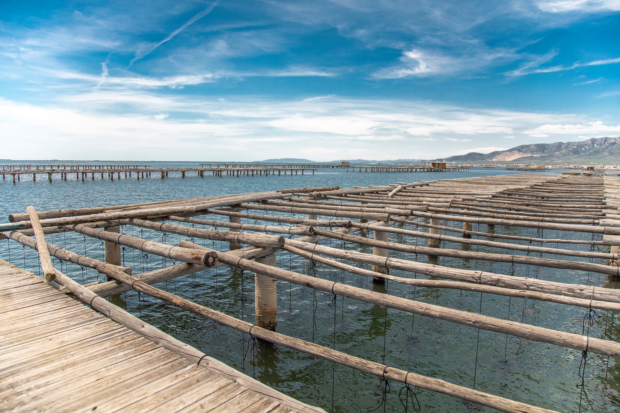 La Ràpita - Sortida a les muscletes (Foto: Turisme La Ràpita)