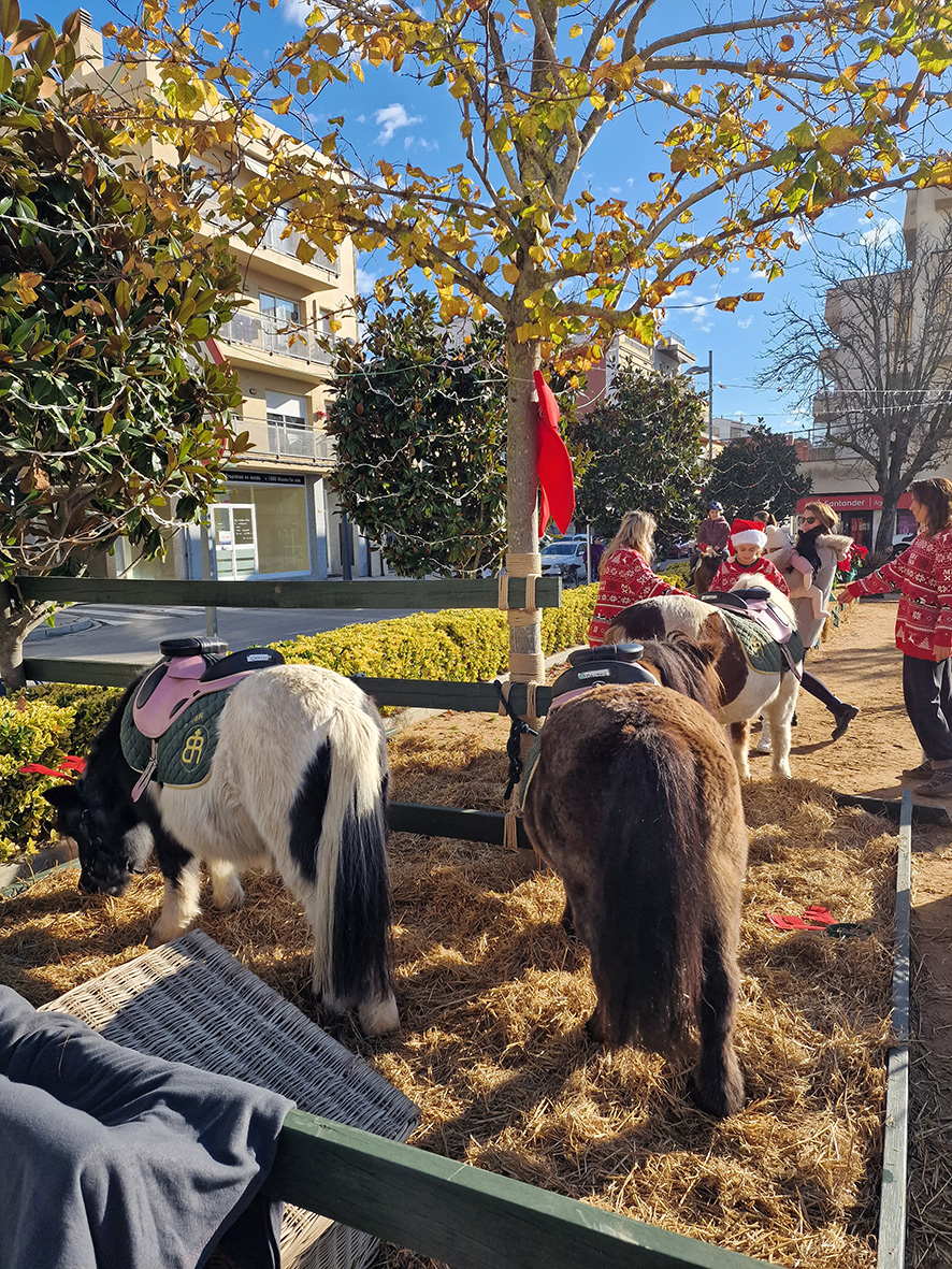 Santa Cristina d'Aro - Fira de Nadal (Foto: Ajuntament de Santa Cristina d'Aro) 
