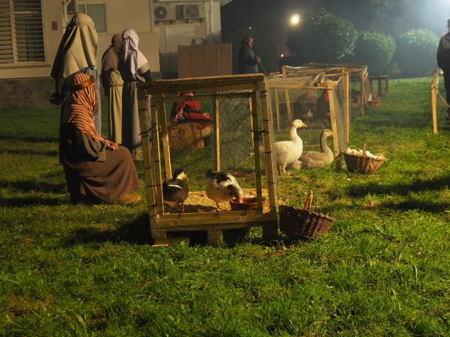 Cànoves i Samalús - Pessebre Vivent