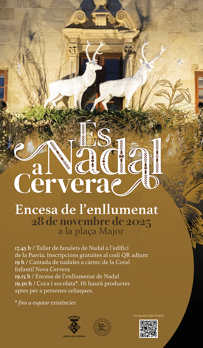 Cervera - Encesa de l'enllumenat de Nadal