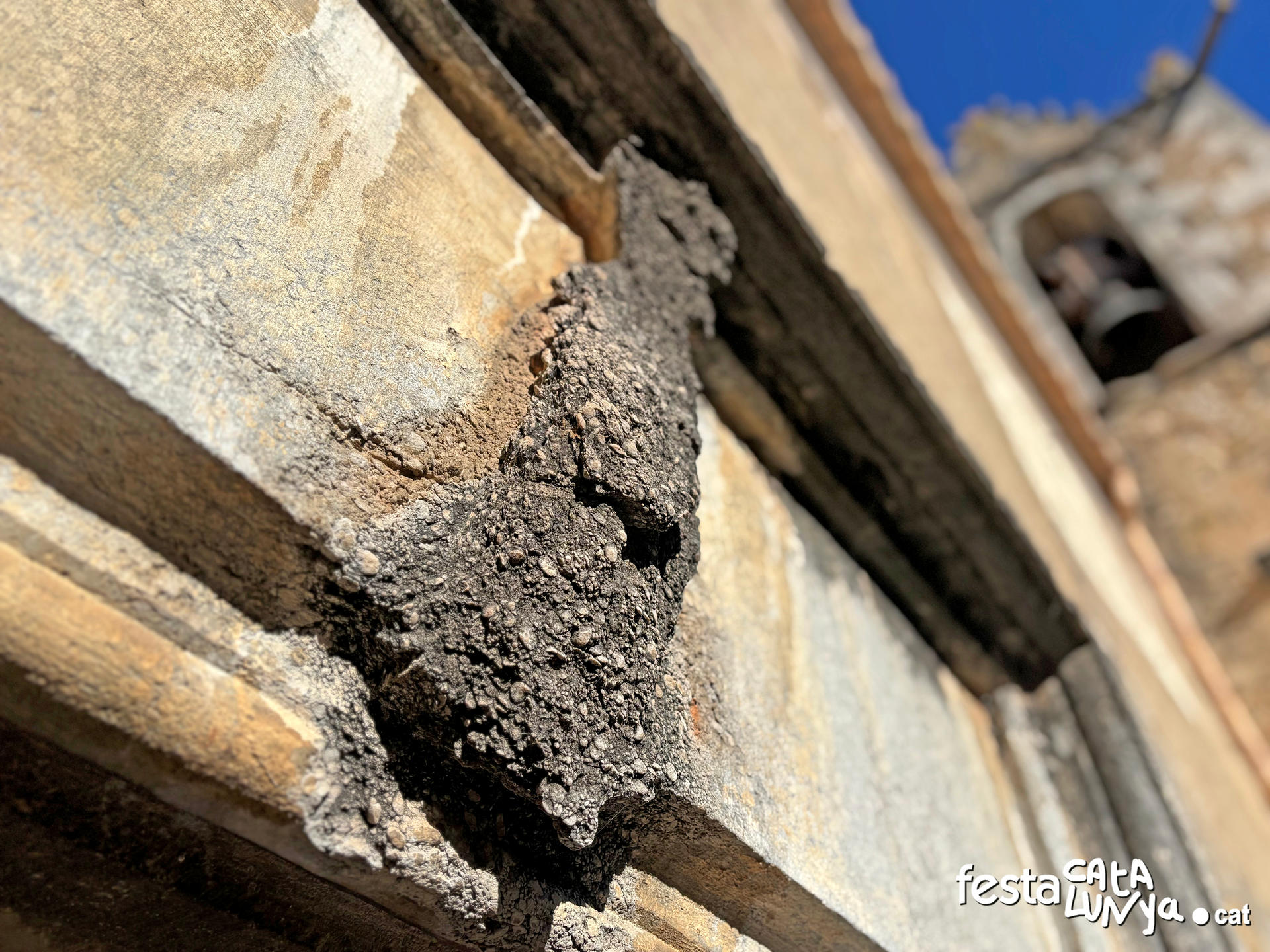 Quart - Església de Sant Sadurní de Palol d'Onyar 