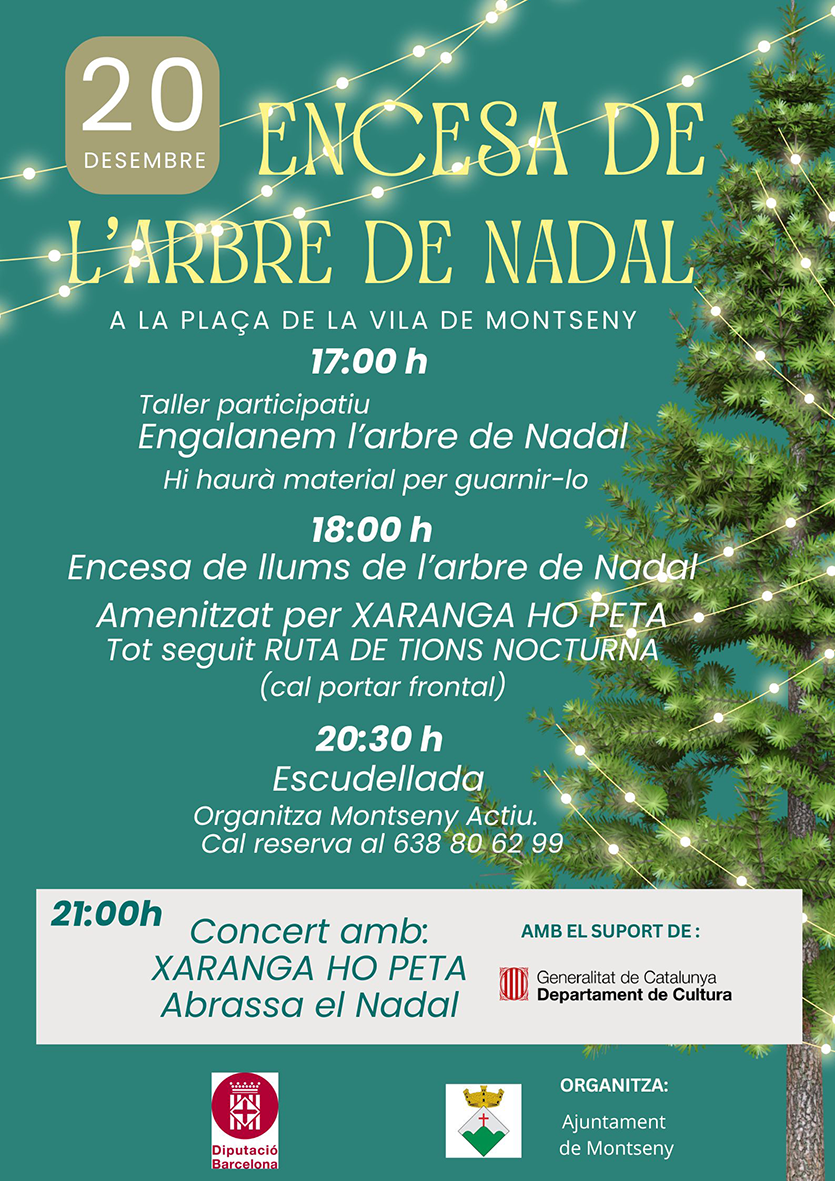 Montseny - Encesa de l'arbre de Nadal 