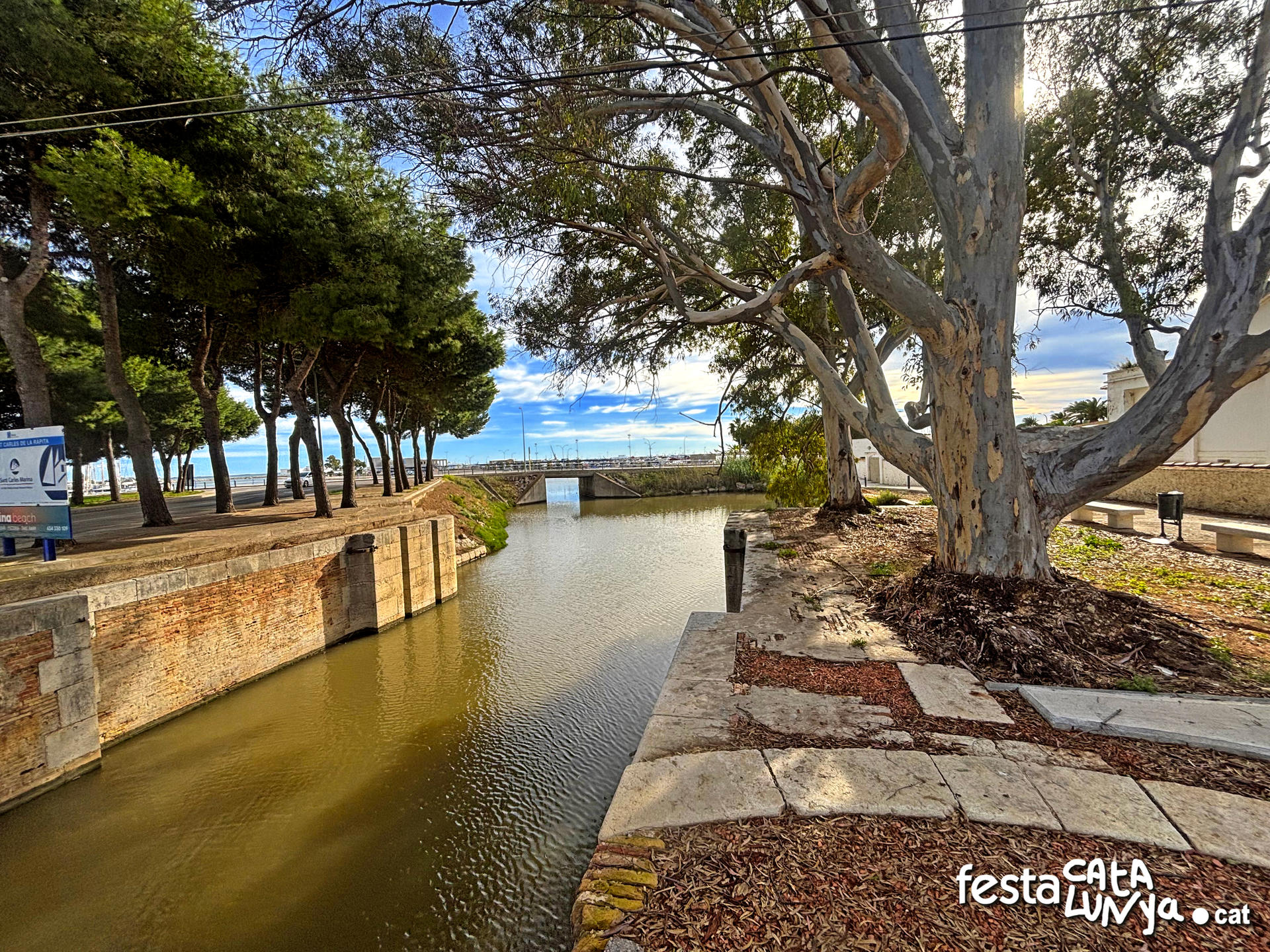 Passejada a l'entorn del Passeig Marítim i l'Avinguda dels Alfacs de la Ràpita