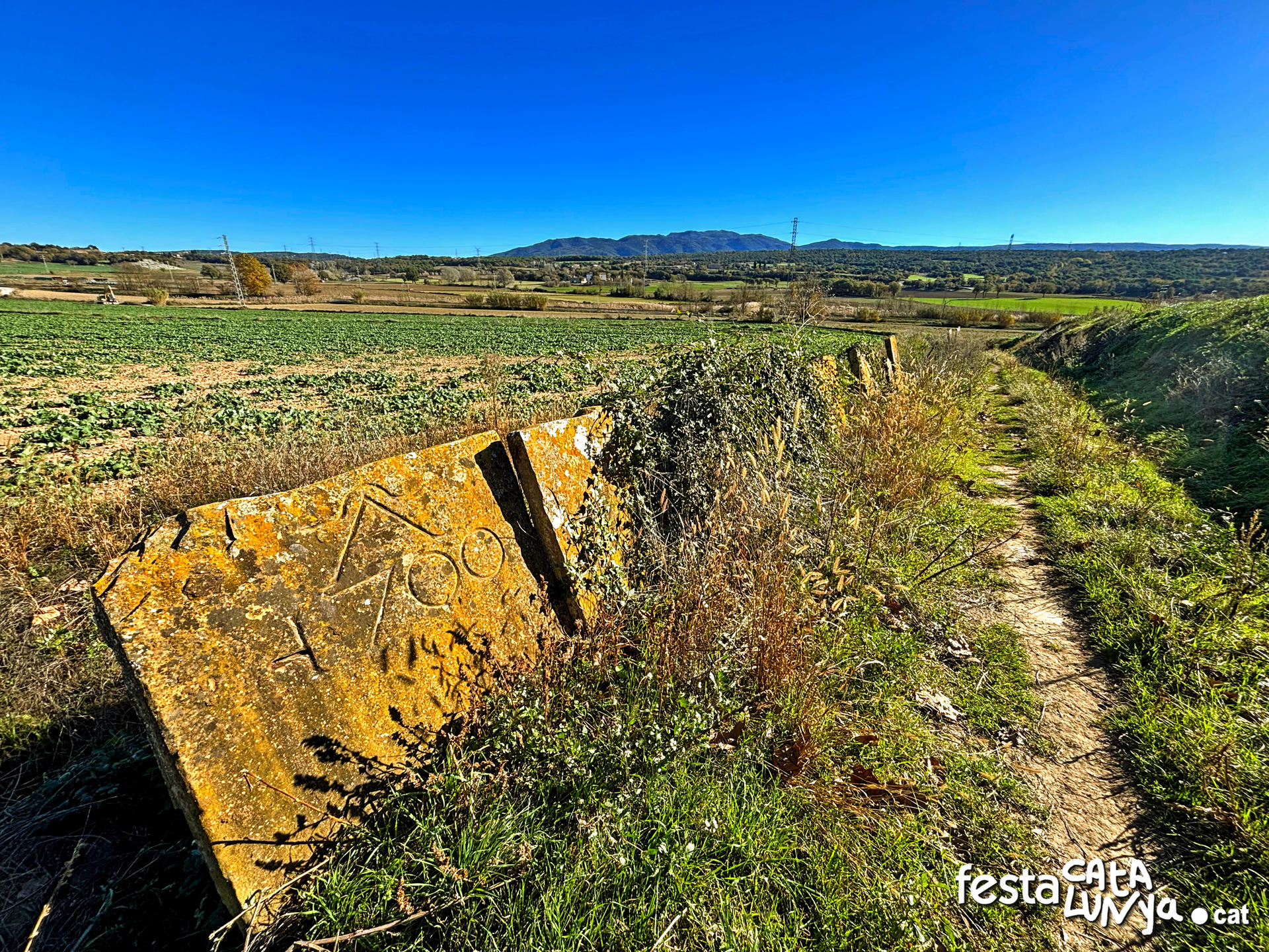 Mur de lloses del camí del Pla prop del camí ral de Balenyà  ***