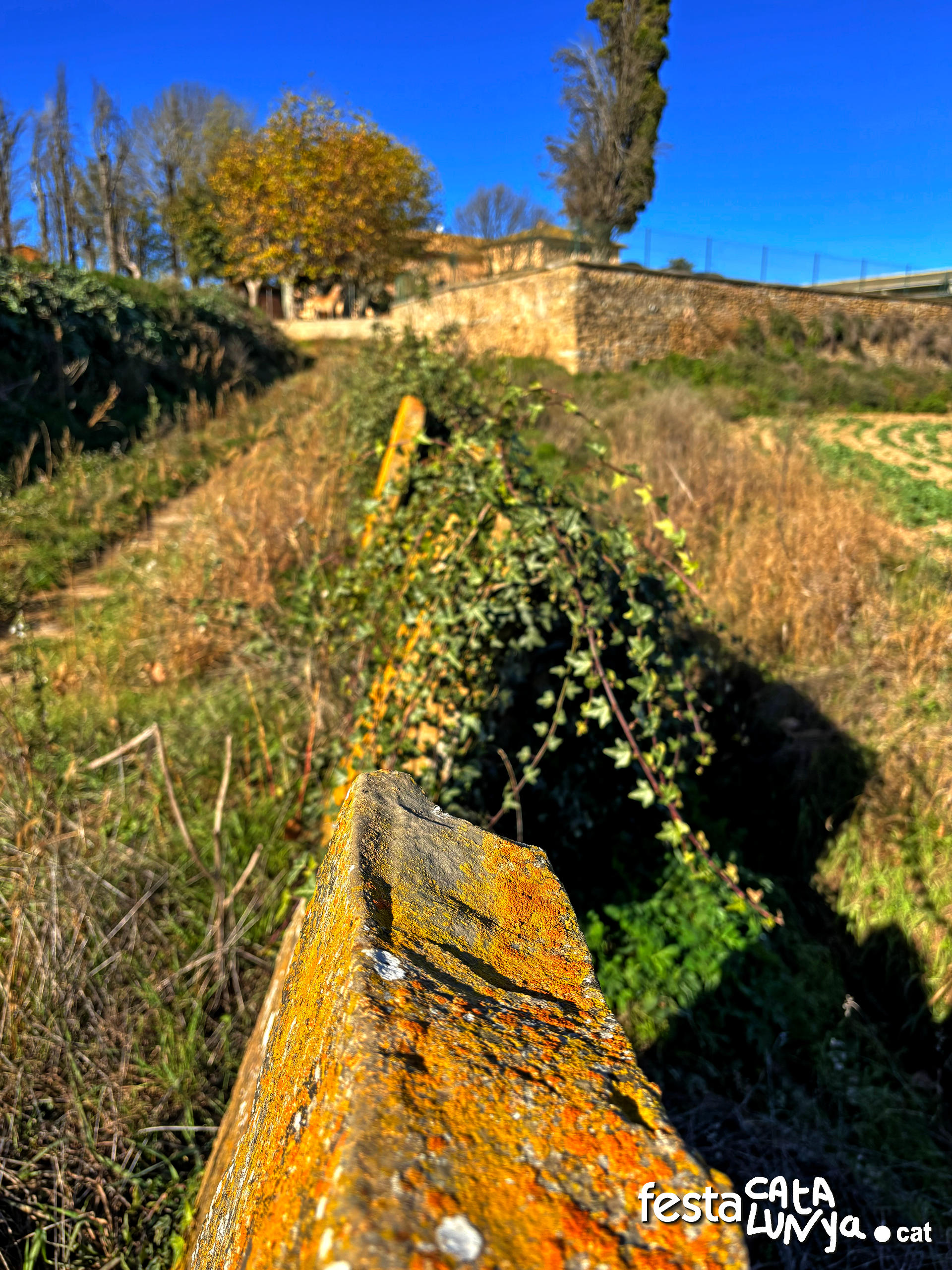 Balenyà - Mur de lloses del camí del Pla prop del camí ral 