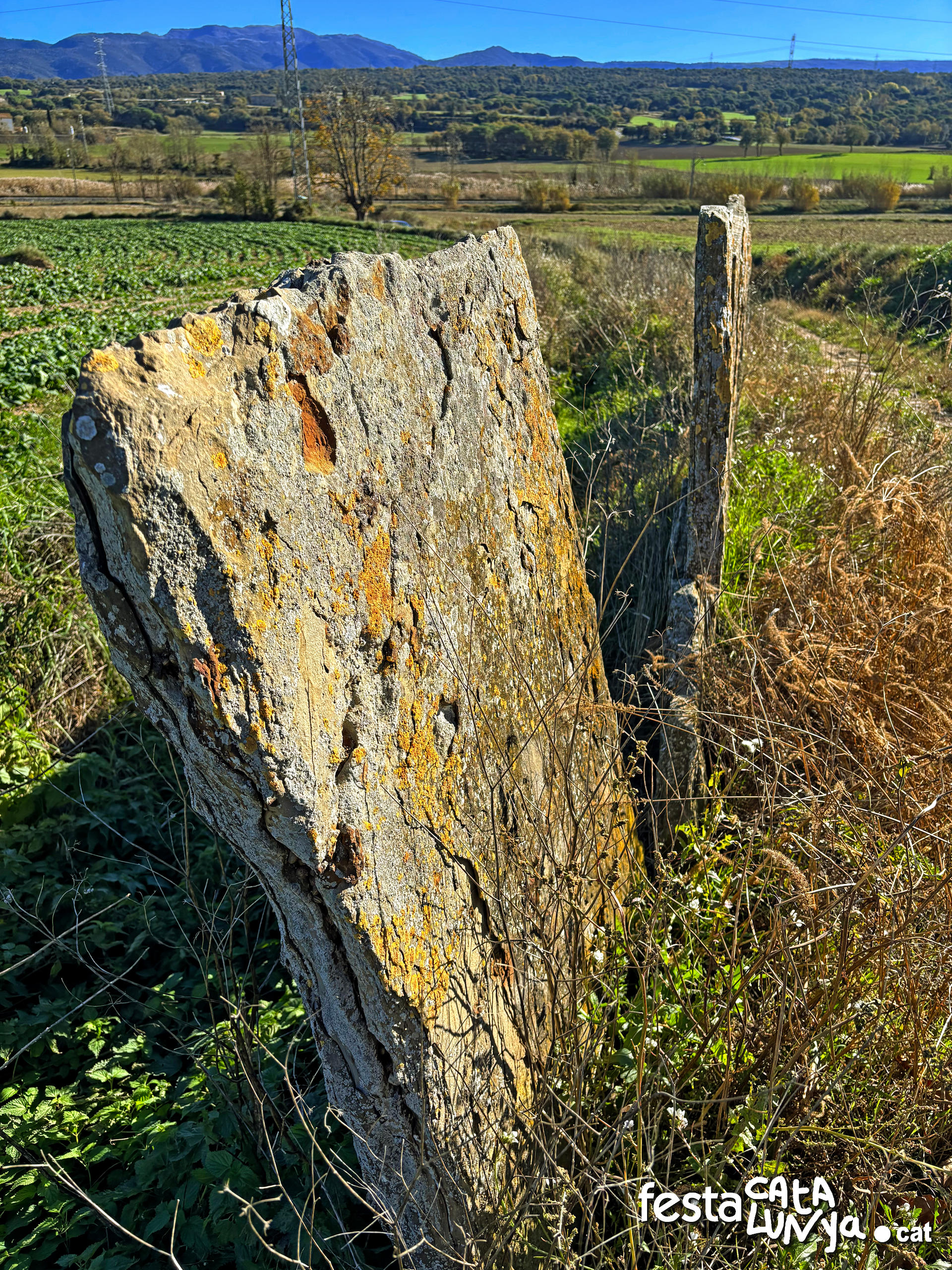 Balenyà - Mur de lloses del camí del Pla prop del camí ral 