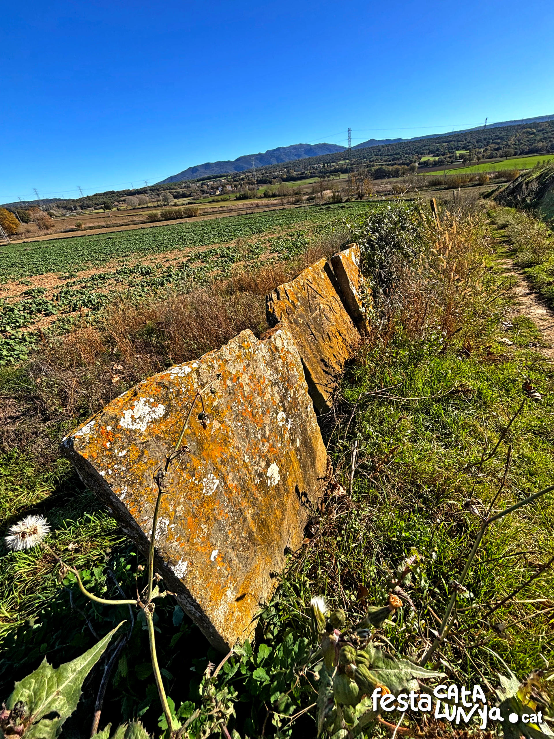 Balenyà - Mur de lloses del camí del Pla prop del camí ral 