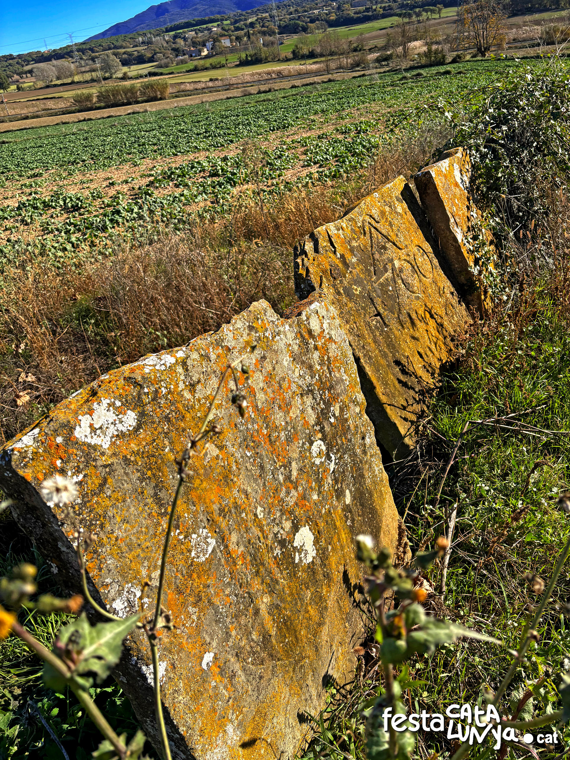 Balenyà - Mur de lloses del camí del Pla prop del camí ral 