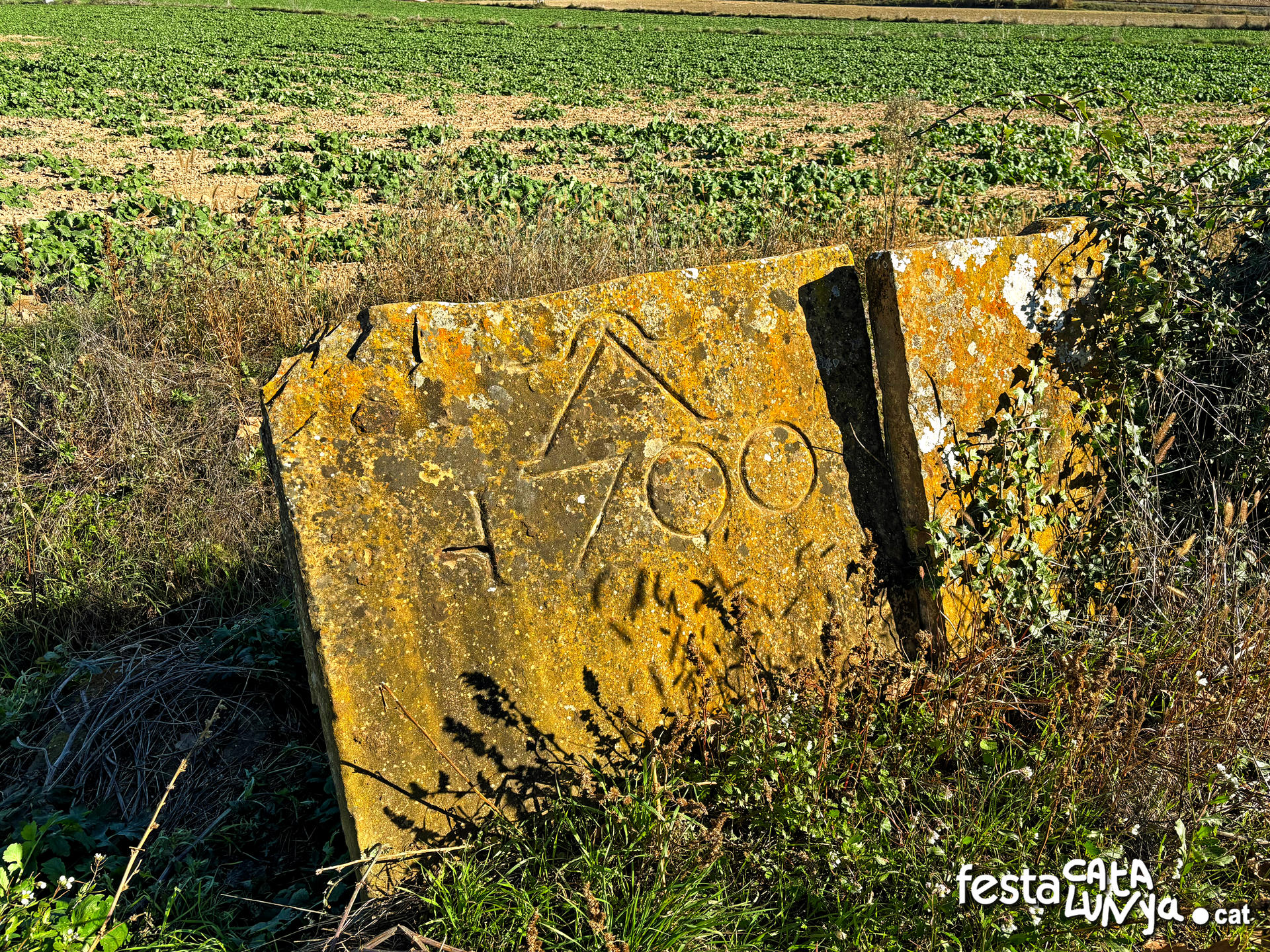 Balenyà - Mur de lloses del camí del Pla prop del camí ral 