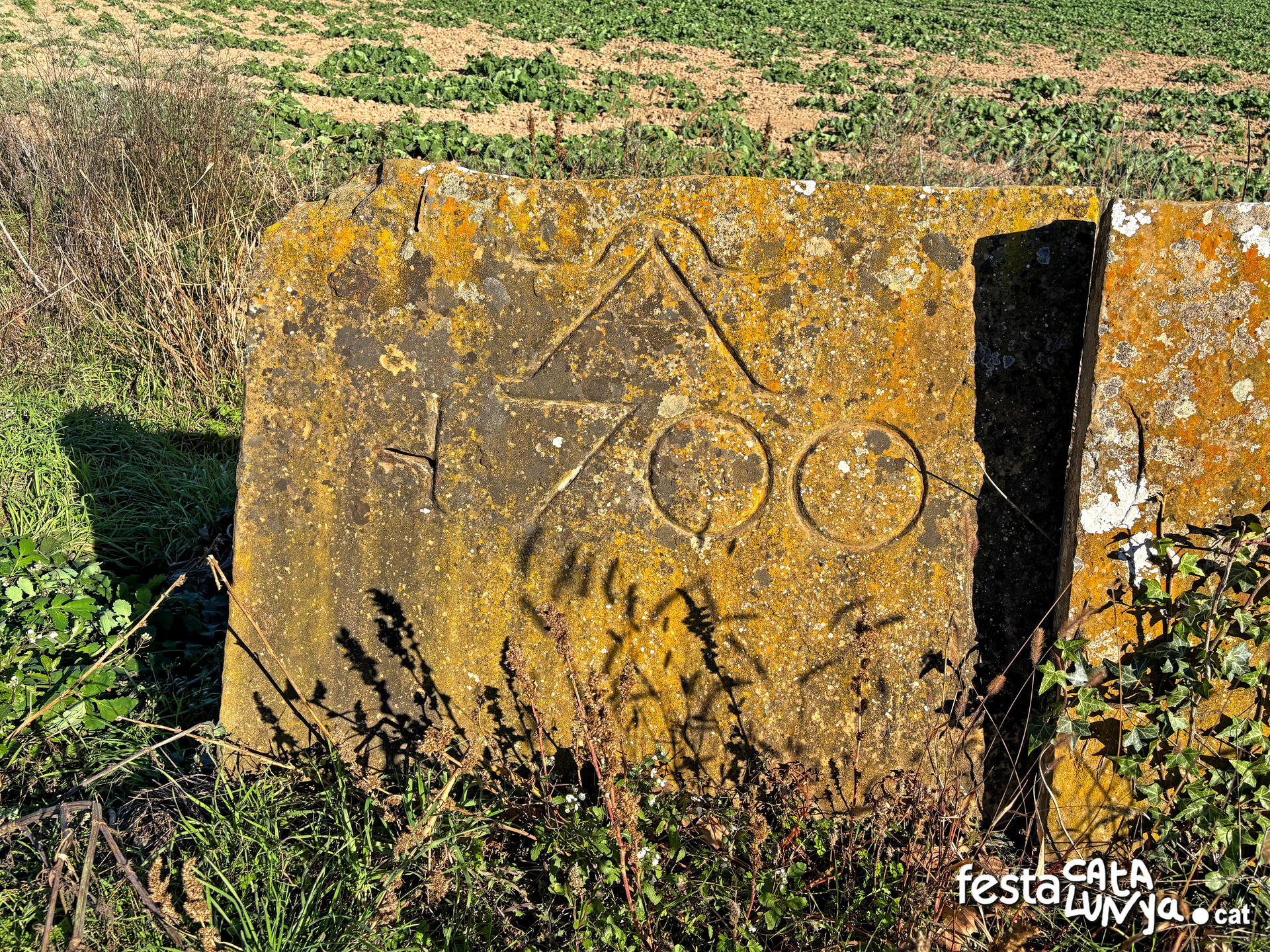 Balenyà - Mur de lloses del camí del Pla prop del camí ral 