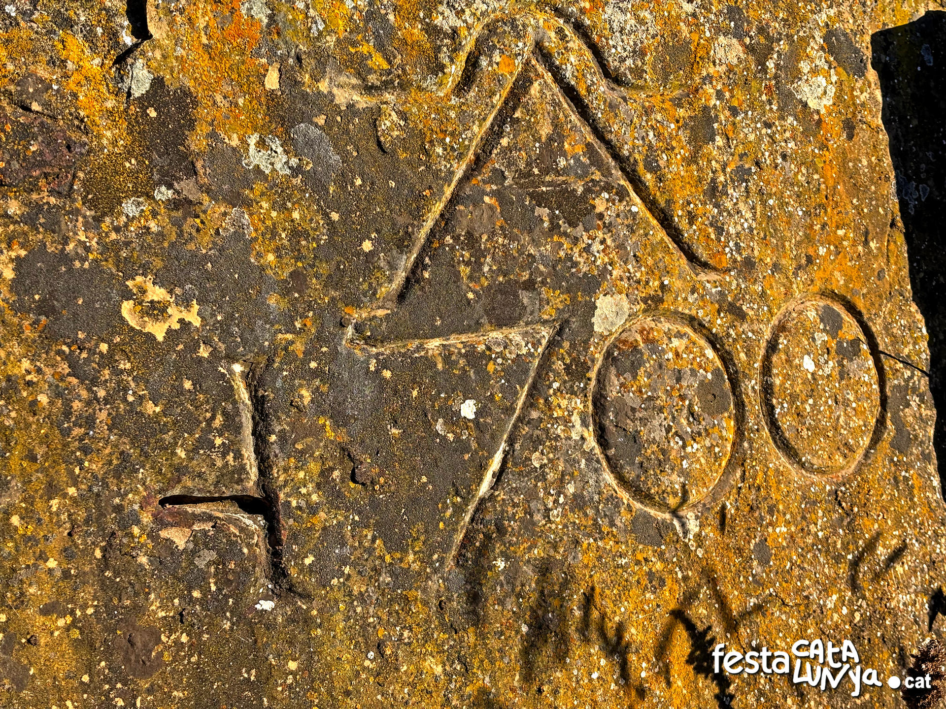 Balenyà - Mur de lloses del camí del Pla prop del camí ral 