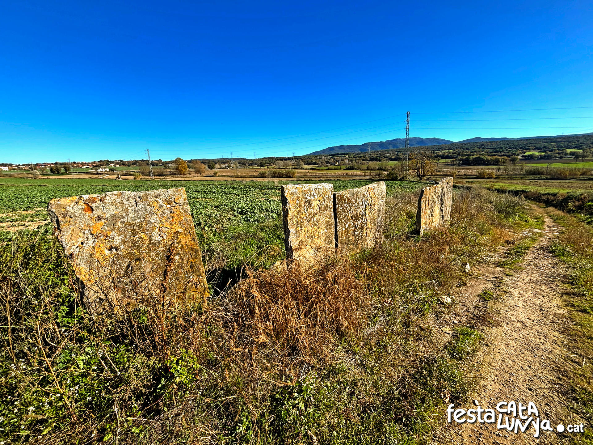 Balenyà - Mur de lloses del camí del Pla prop del camí ral 