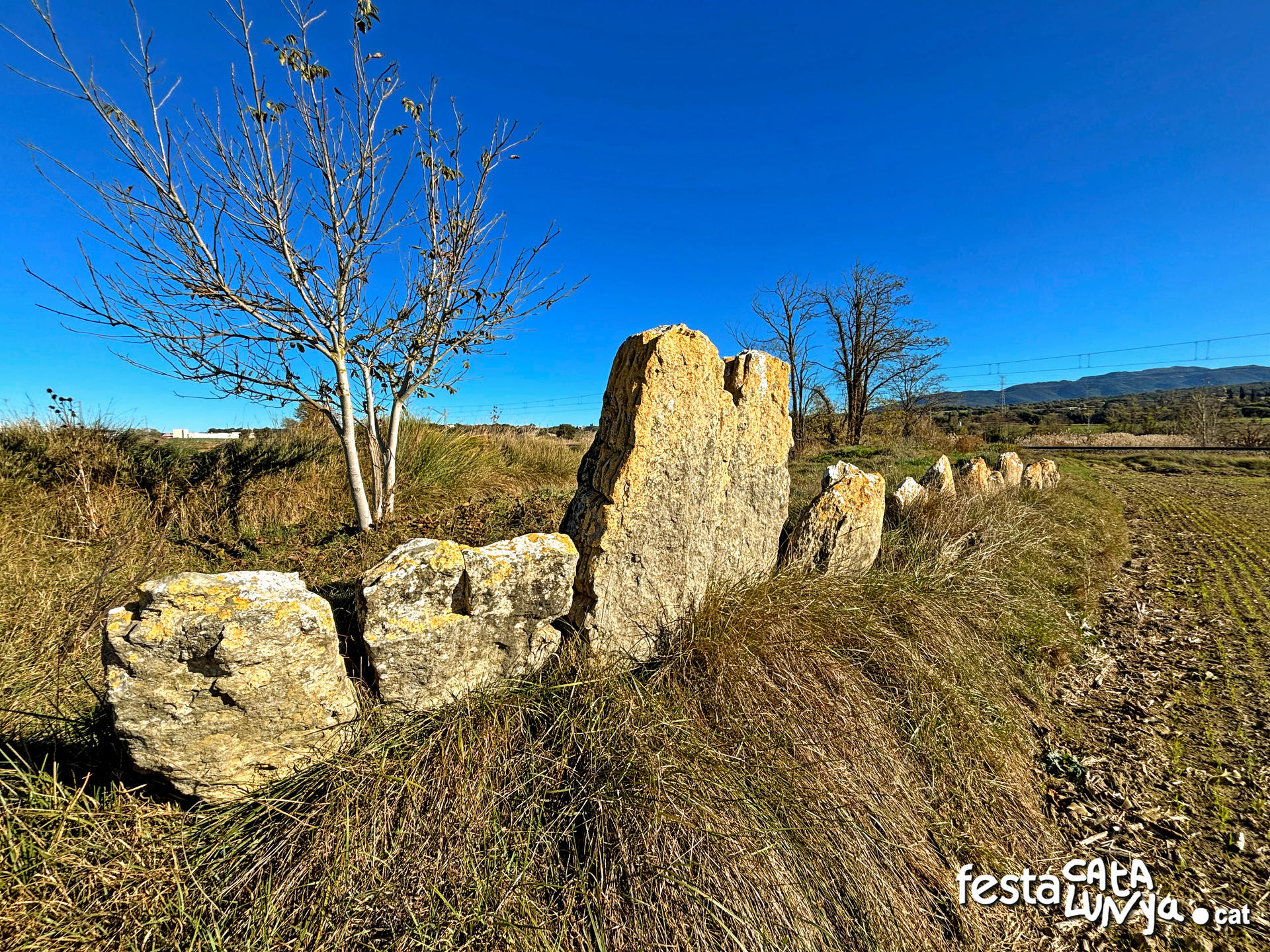 Balenyà - Mur de lloses del camí del Pla prop del camí ral - Banda via tren 