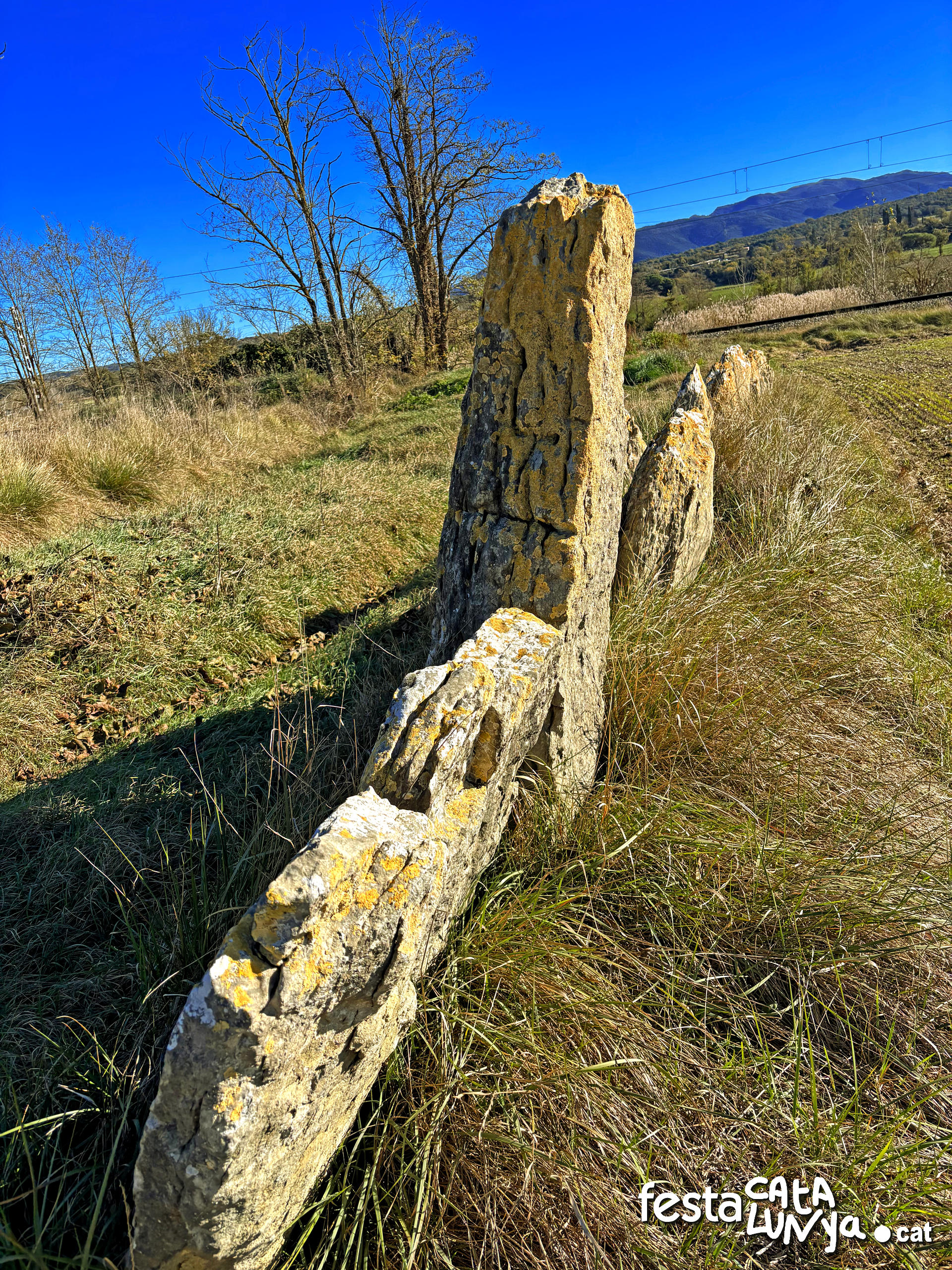 Balenyà - Mur de lloses del camí del Pla prop del camí ral - Banda via tren 