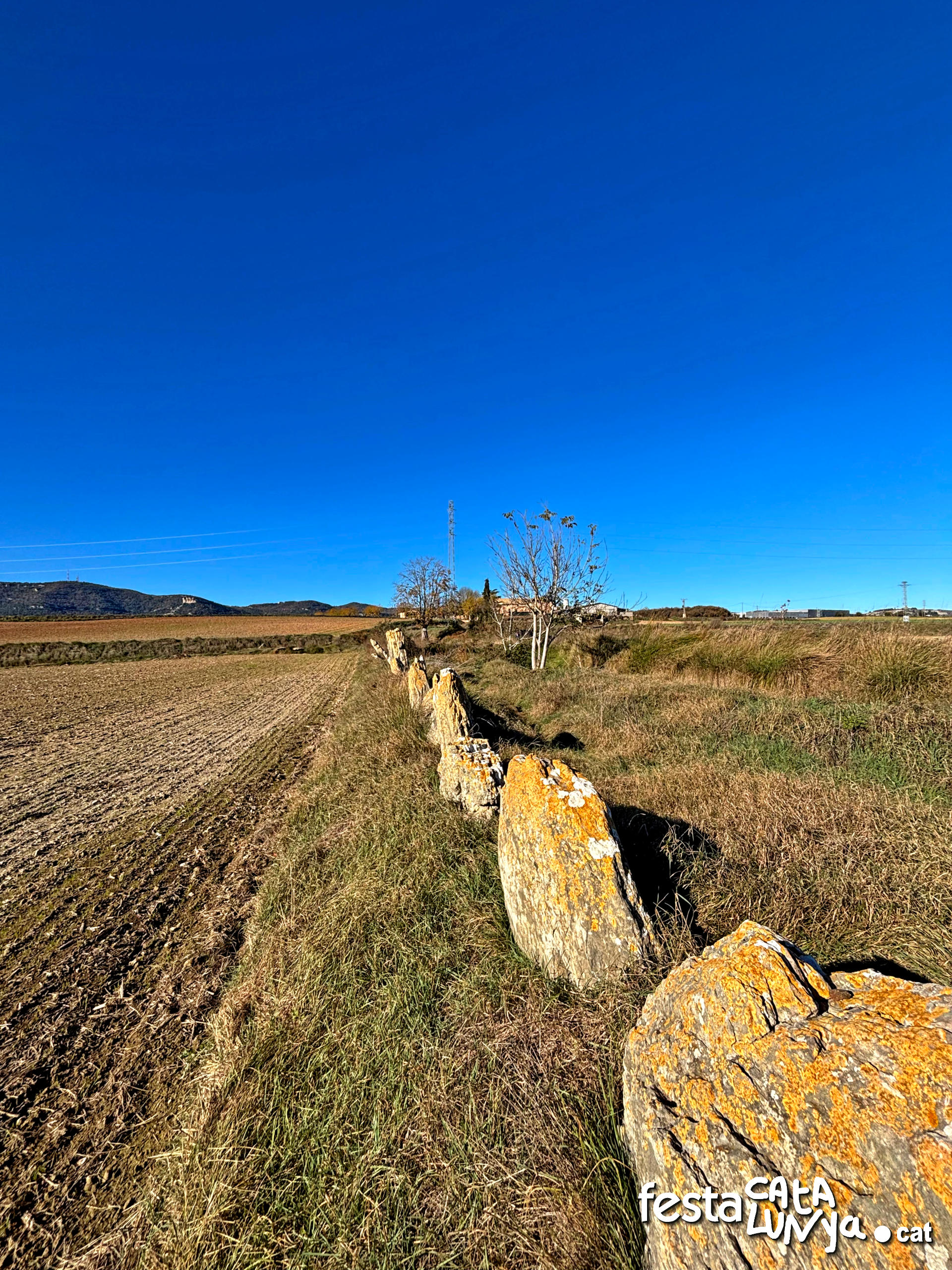 Balenyà - Mur de lloses del camí del Pla prop del camí ral - Banda via tren 