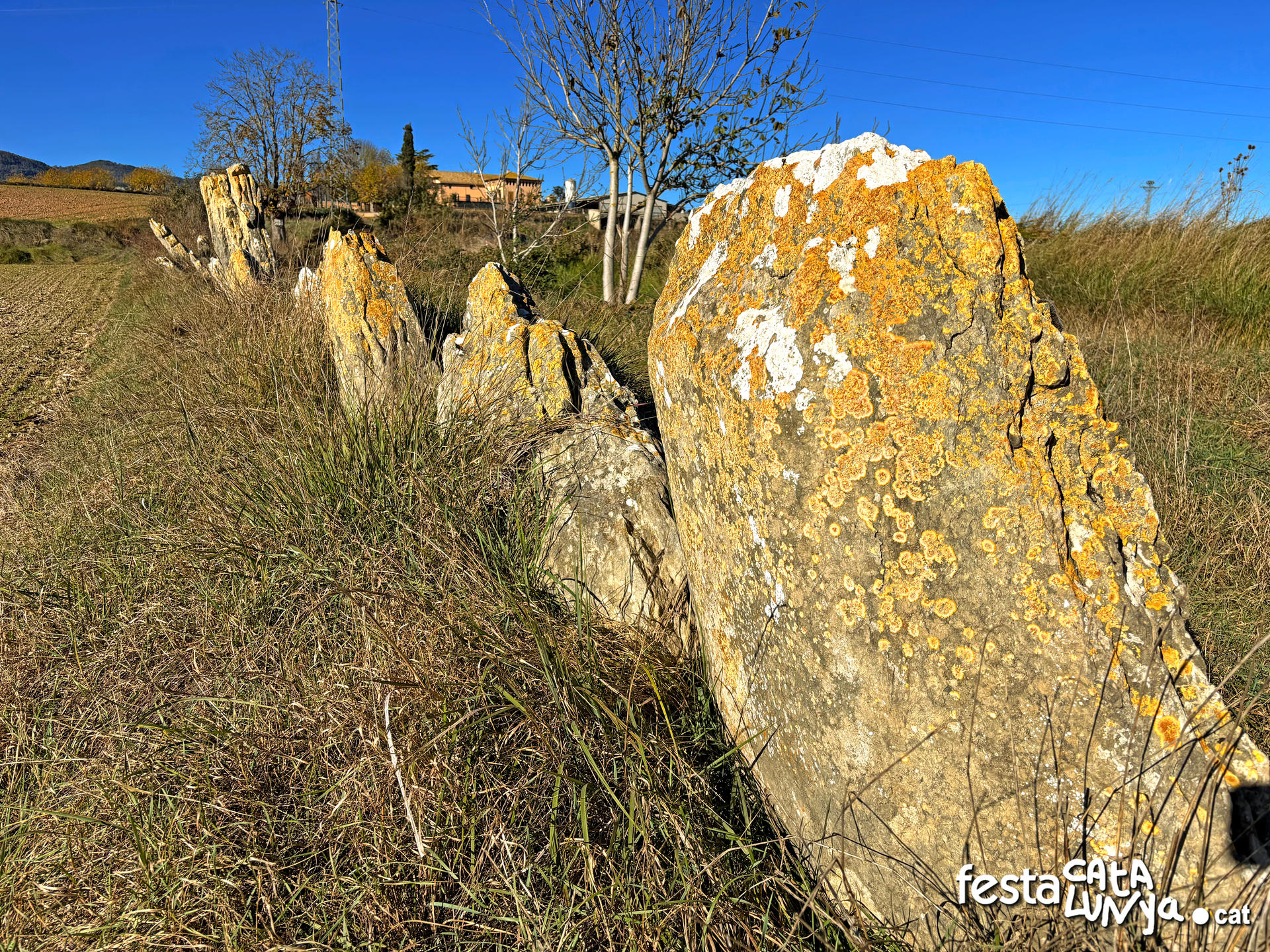 Balenyà - Mur de lloses del camí del Pla prop del camí ral - Banda via tren 