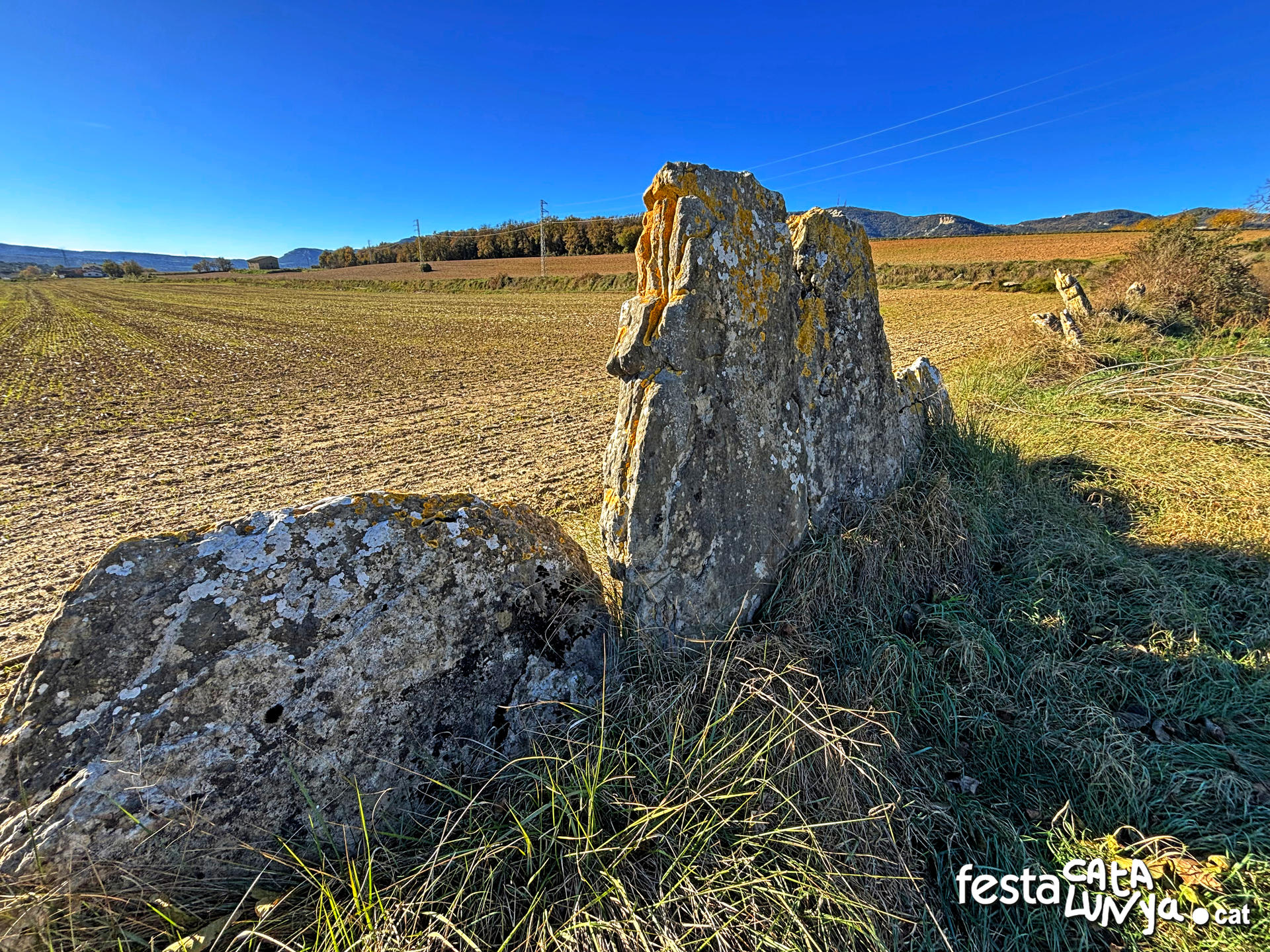 Balenyà - Mur de lloses del camí del Pla prop del camí ral - Banda via tren 