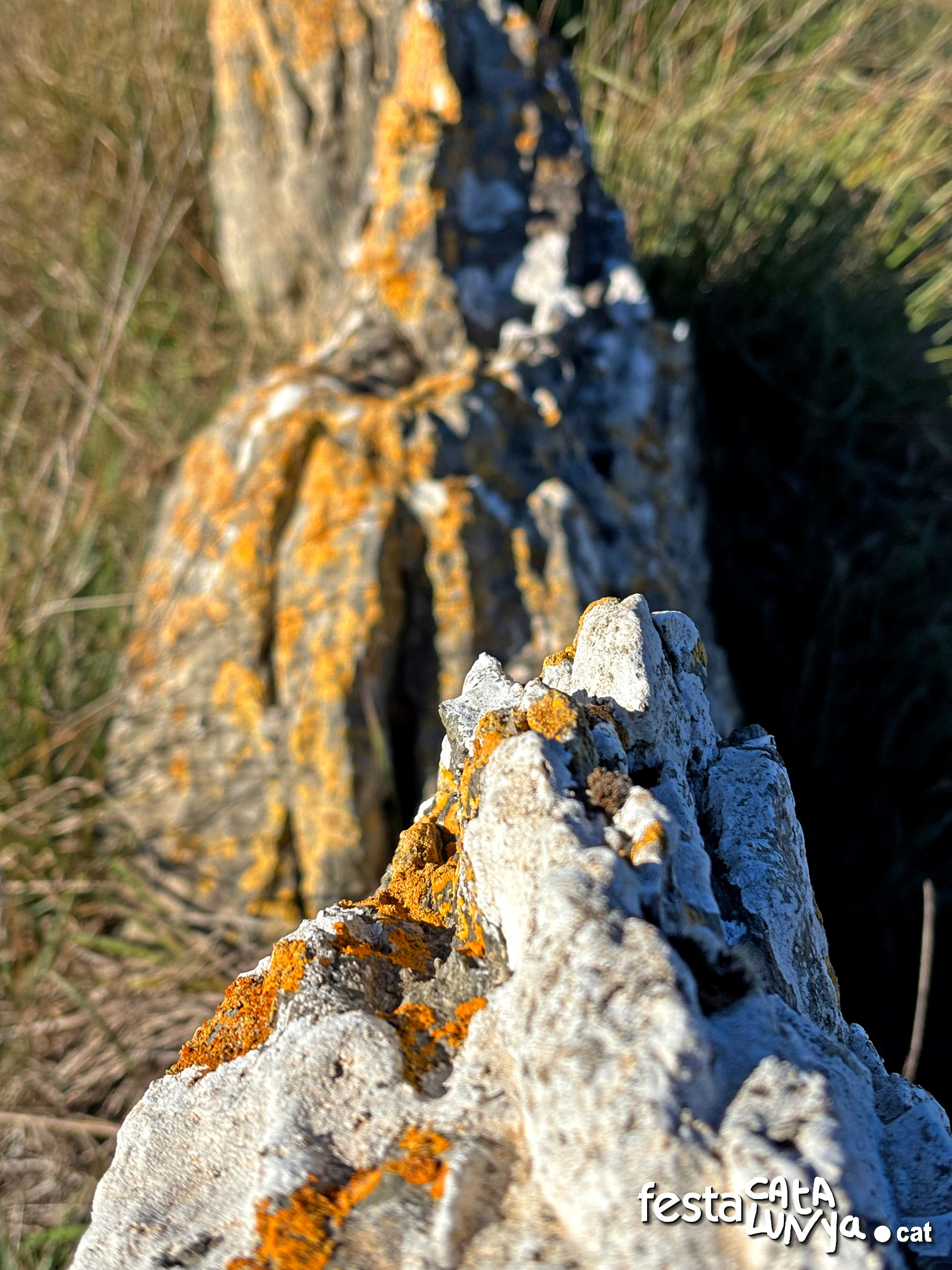 Balenyà - Mur de lloses del camí del Pla prop del camí ral - Banda via tren 