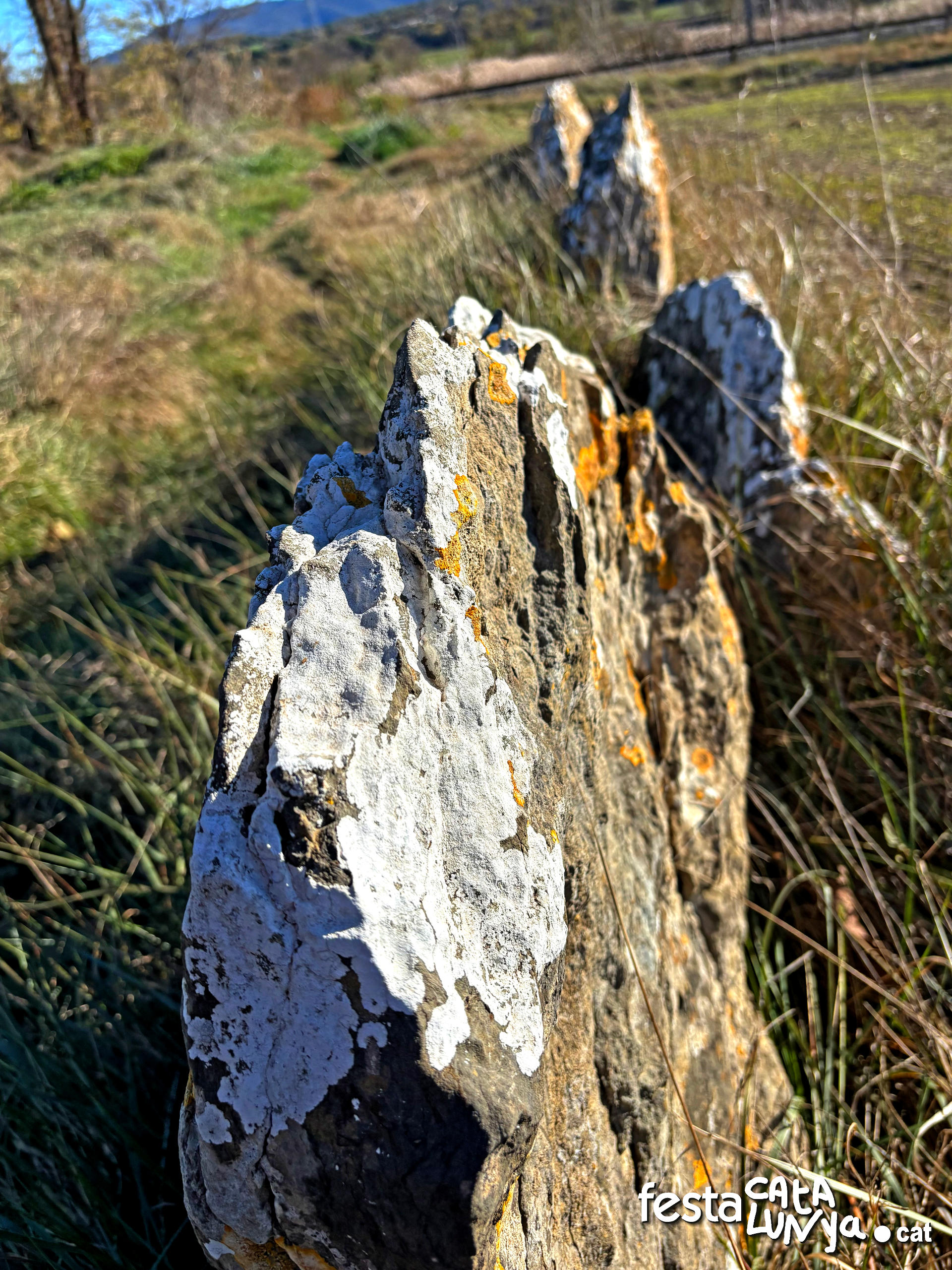 Balenyà - Mur de lloses del camí del Pla prop del camí ral - Banda via tren