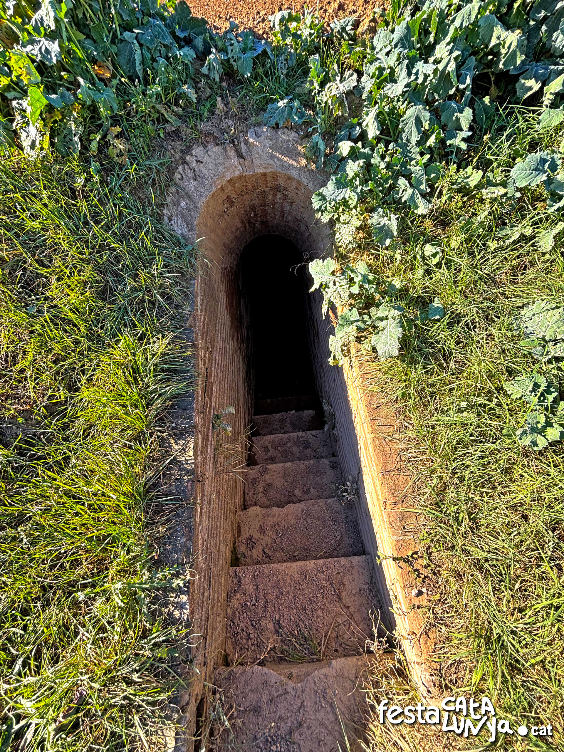 Balenyà - Refugi Can Moianès 2 de l'aeròdrom Balenyà-Tona de la guerra civil  