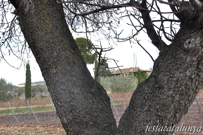 Sant Martí Sarroca - Mas Rabell de Fontenac